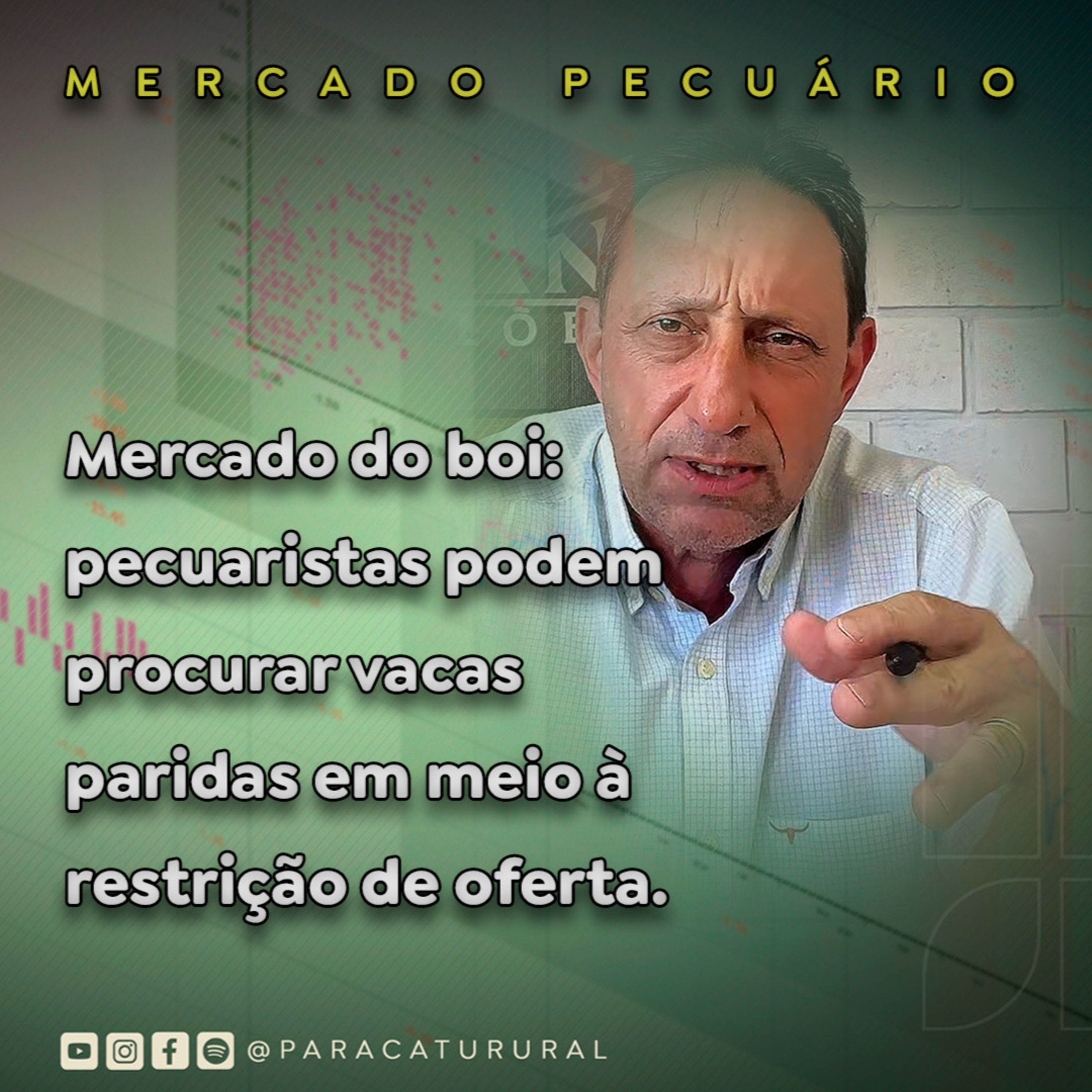 Mercado do boi: pecuaristas podem procurar vacas paridas em meio à restrição de oferta episode artwork