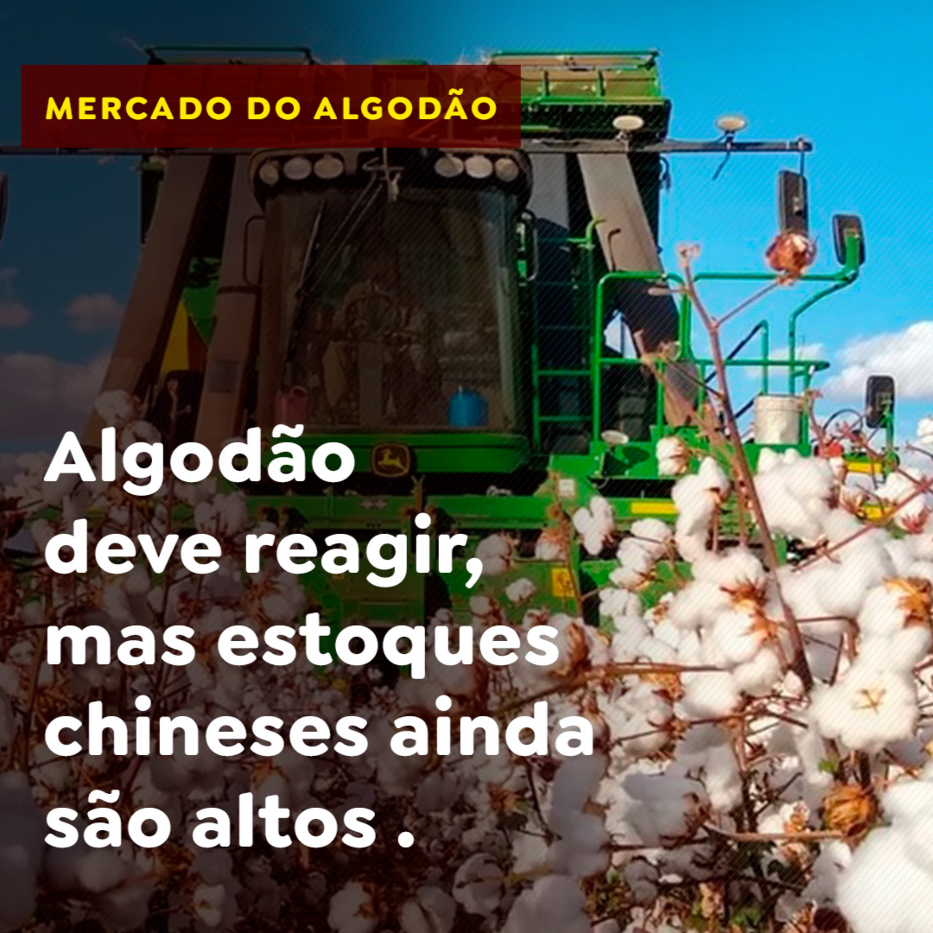 Algodão deve reagir, mas estoques chineses ainda são altos episode artwork