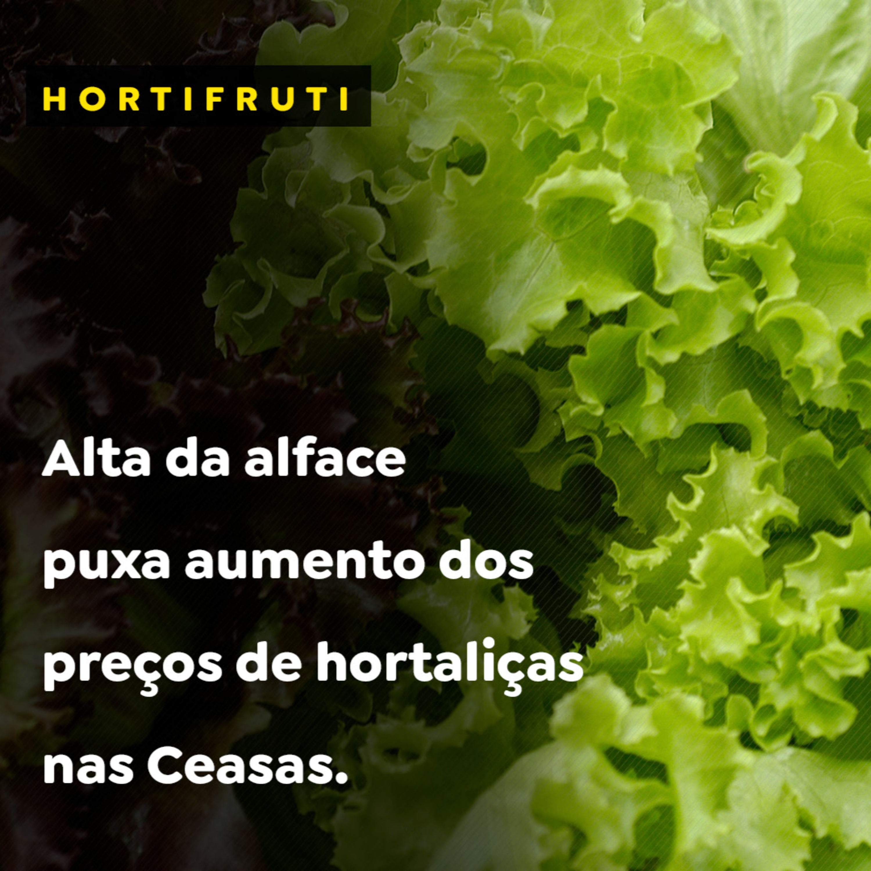 Alta da alface puxa aumento dos preços de hortaliças nas Ceasas. episode artwork