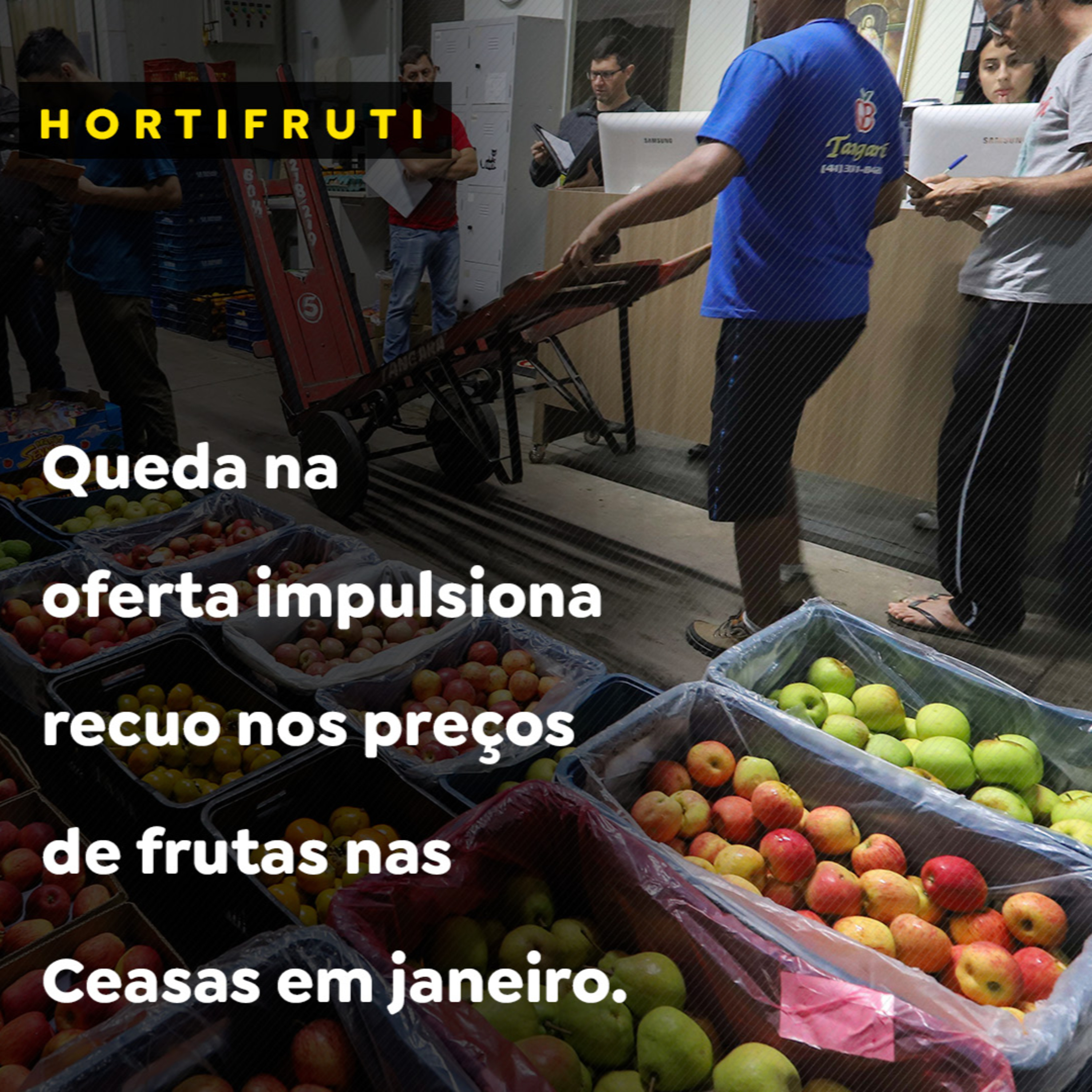 Queda na oferta impulsiona recuo nos preços de frutas nas Ceasas em janeiro  episode artwork