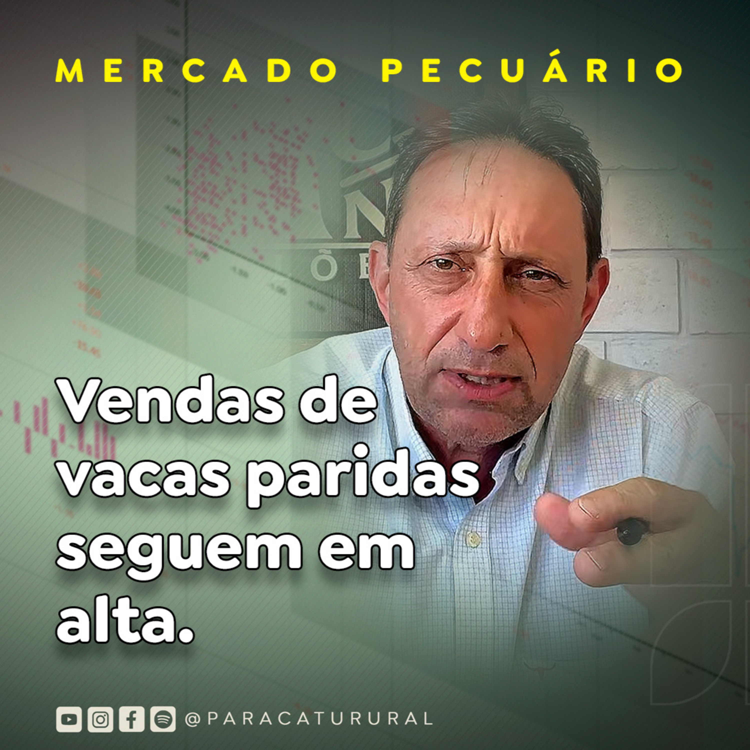 Vendas de vacas paridas seguem em alta episode artwork