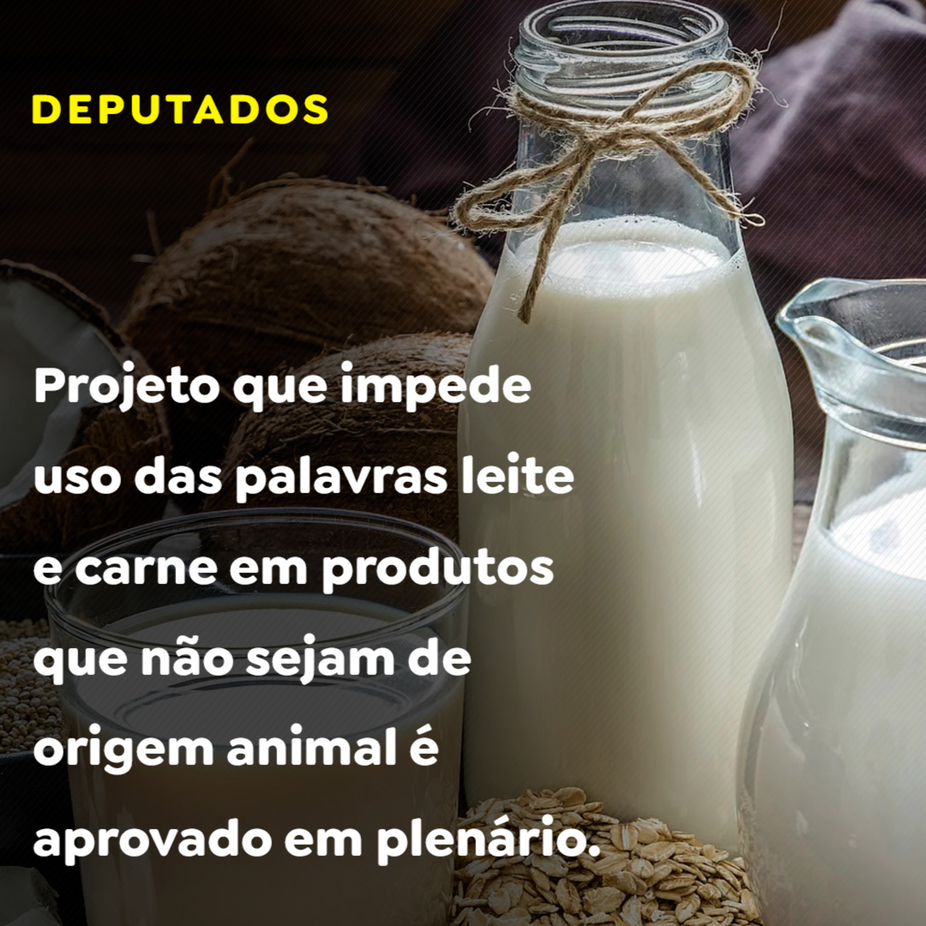 Projeto que impede uso das palavras leite e carne em produtos que não de origem animal é aprovado episode artwork