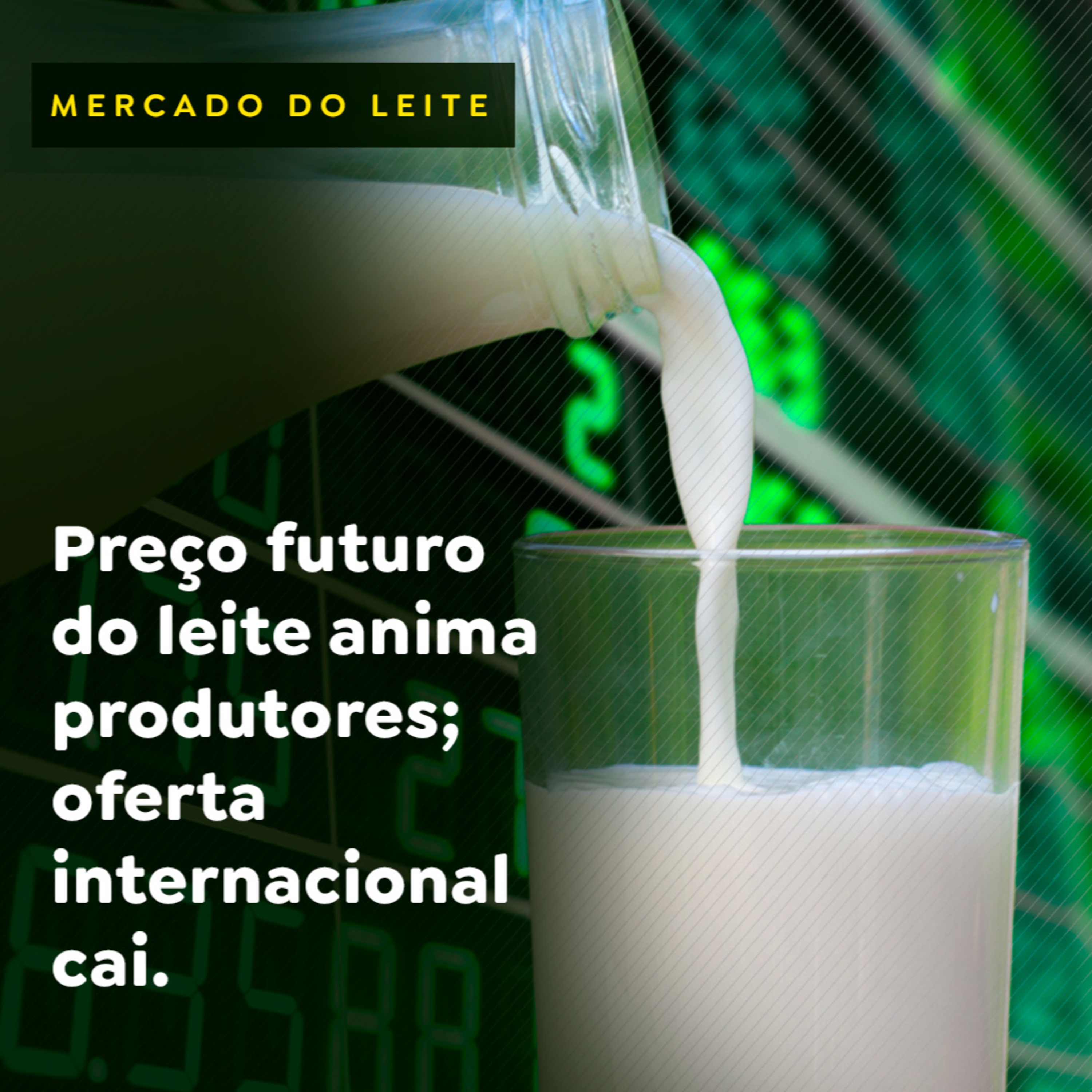 Preço futuro do leite anima produtores; oferta internacional cai episode artwork
