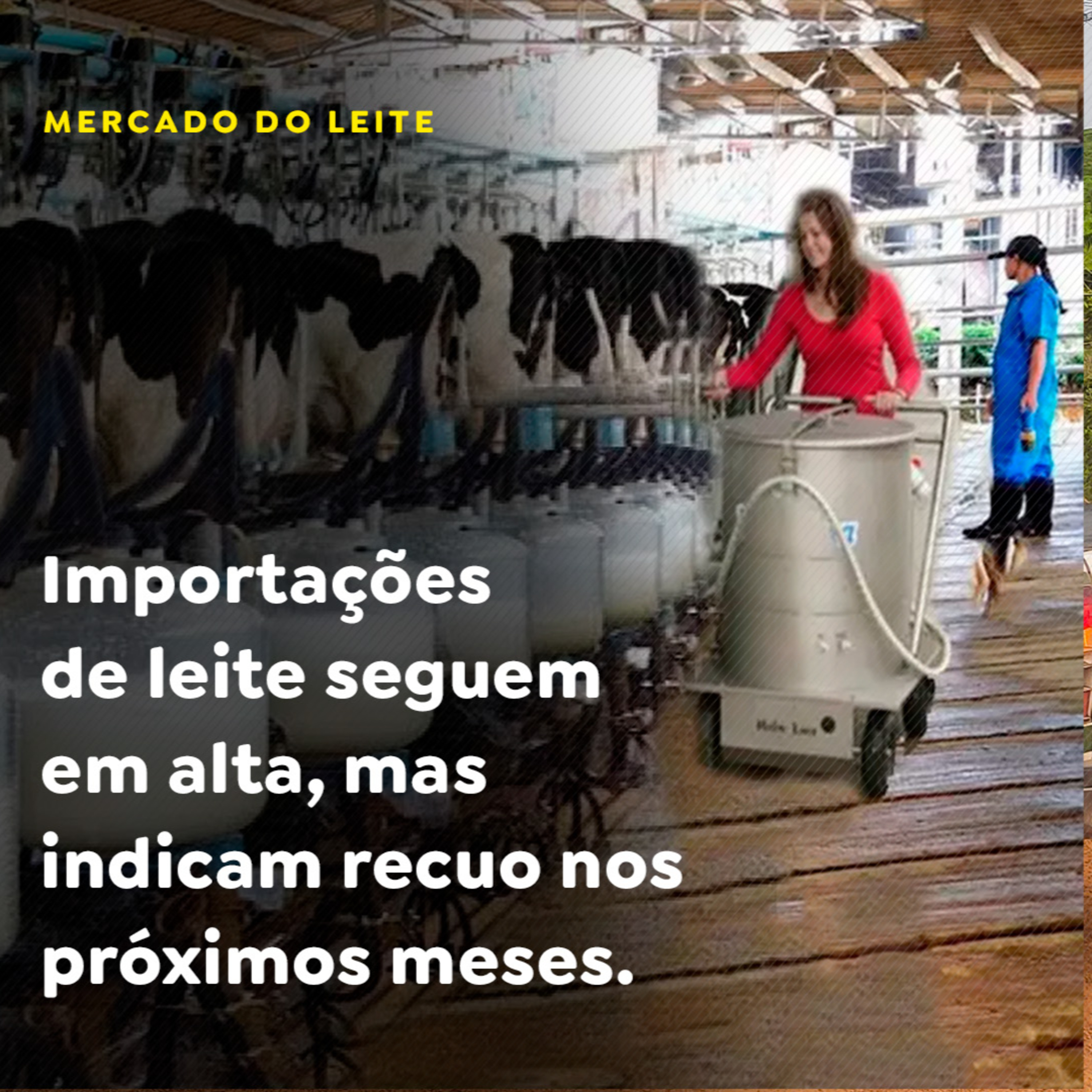 Importações de leite seguem em alta, mas indicam recuo nos próximos meses episode artwork
