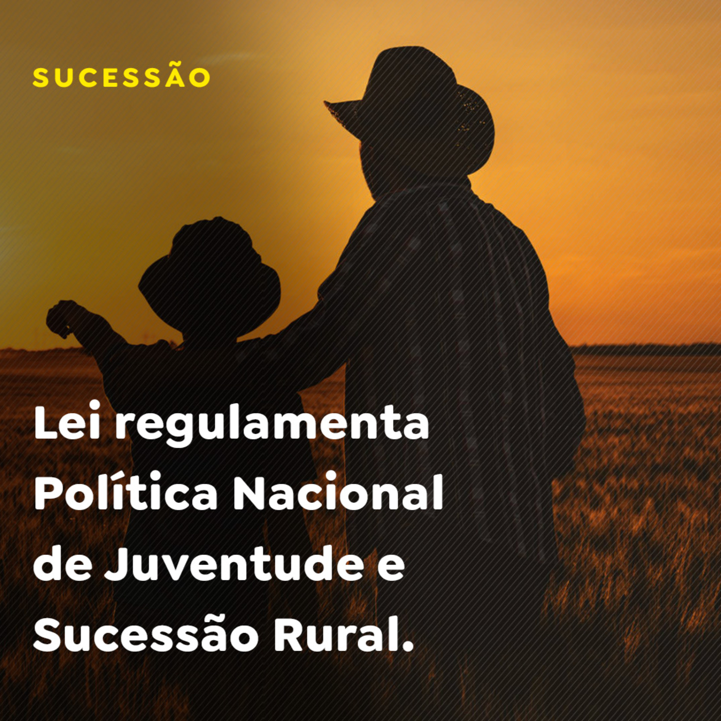 Lei regulamenta Política Nacional de Juventude e Sucessão Rural episode artwork