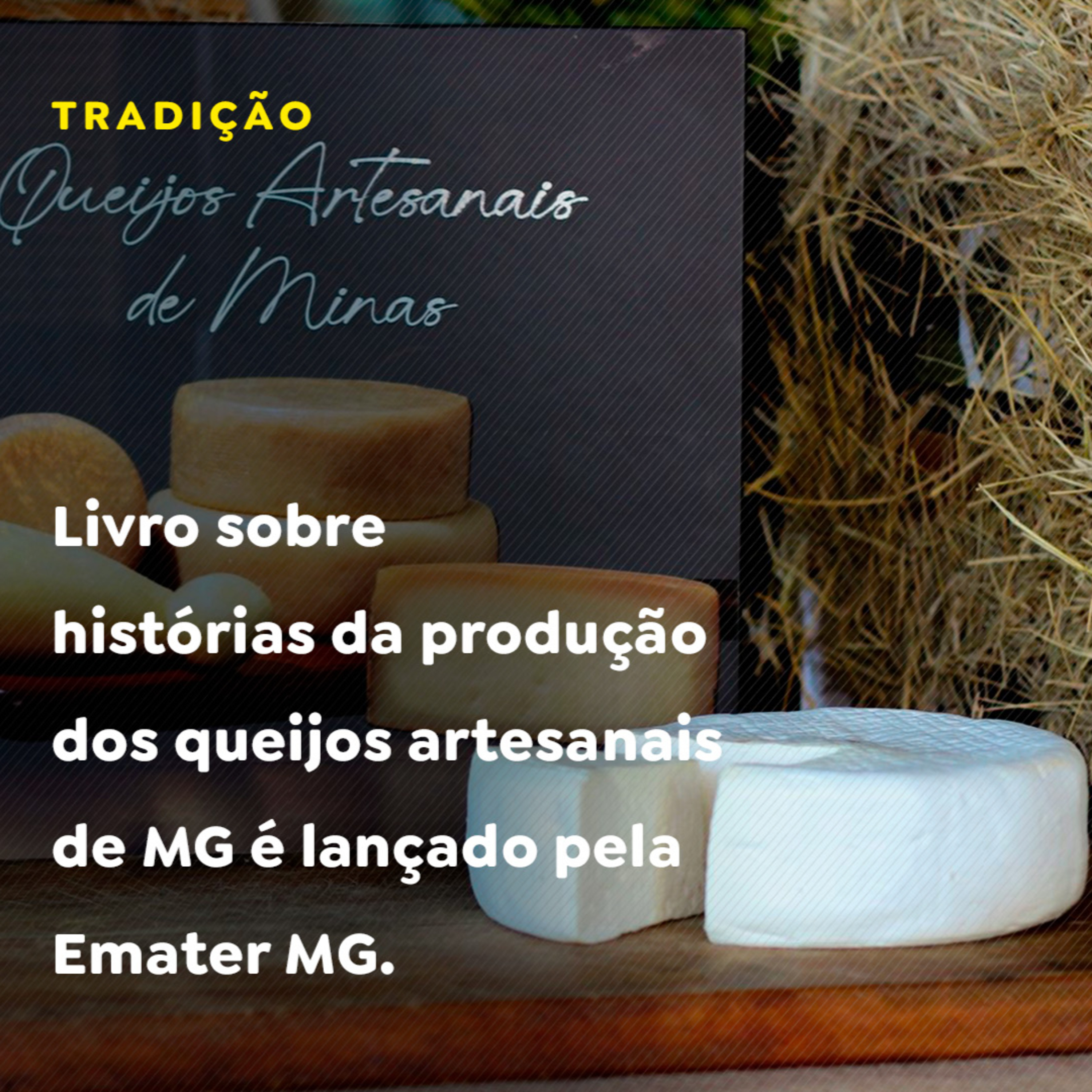 Livro sobre histórias da produção dos queijos artesanais de MG é lançado pela Emater MG episode artwork