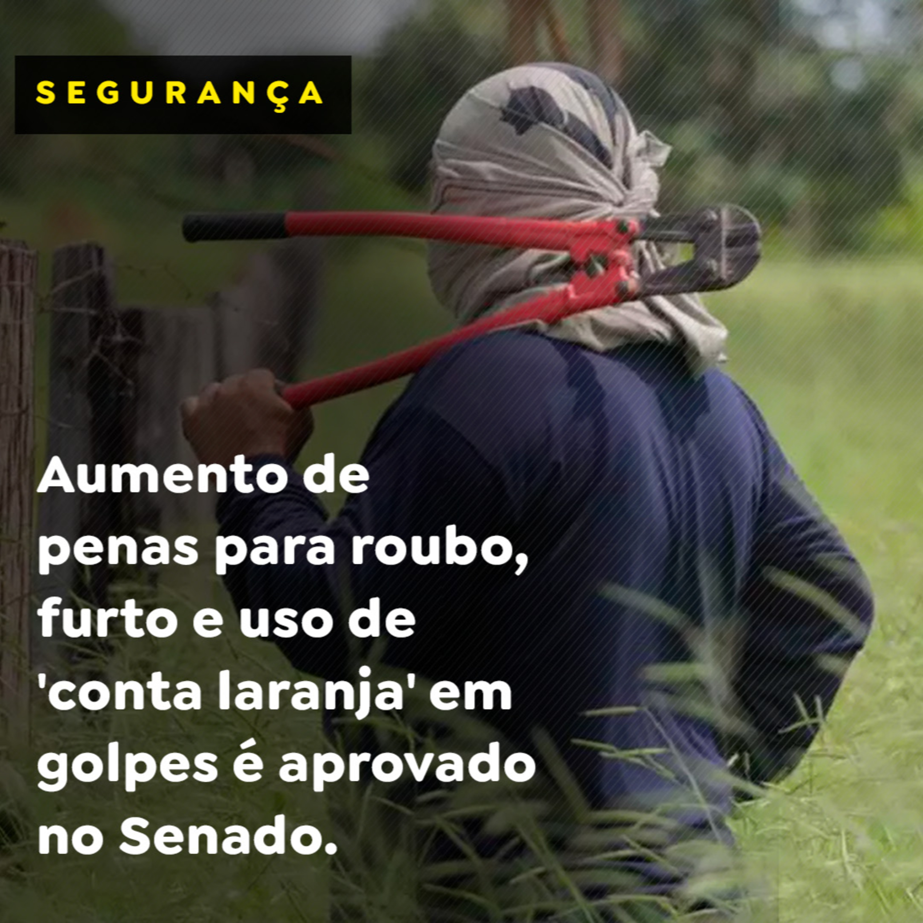 Aumento de penas para roubo, furto e uso de 'conta laranja' em golpes é aprovado no Senado episode artwork