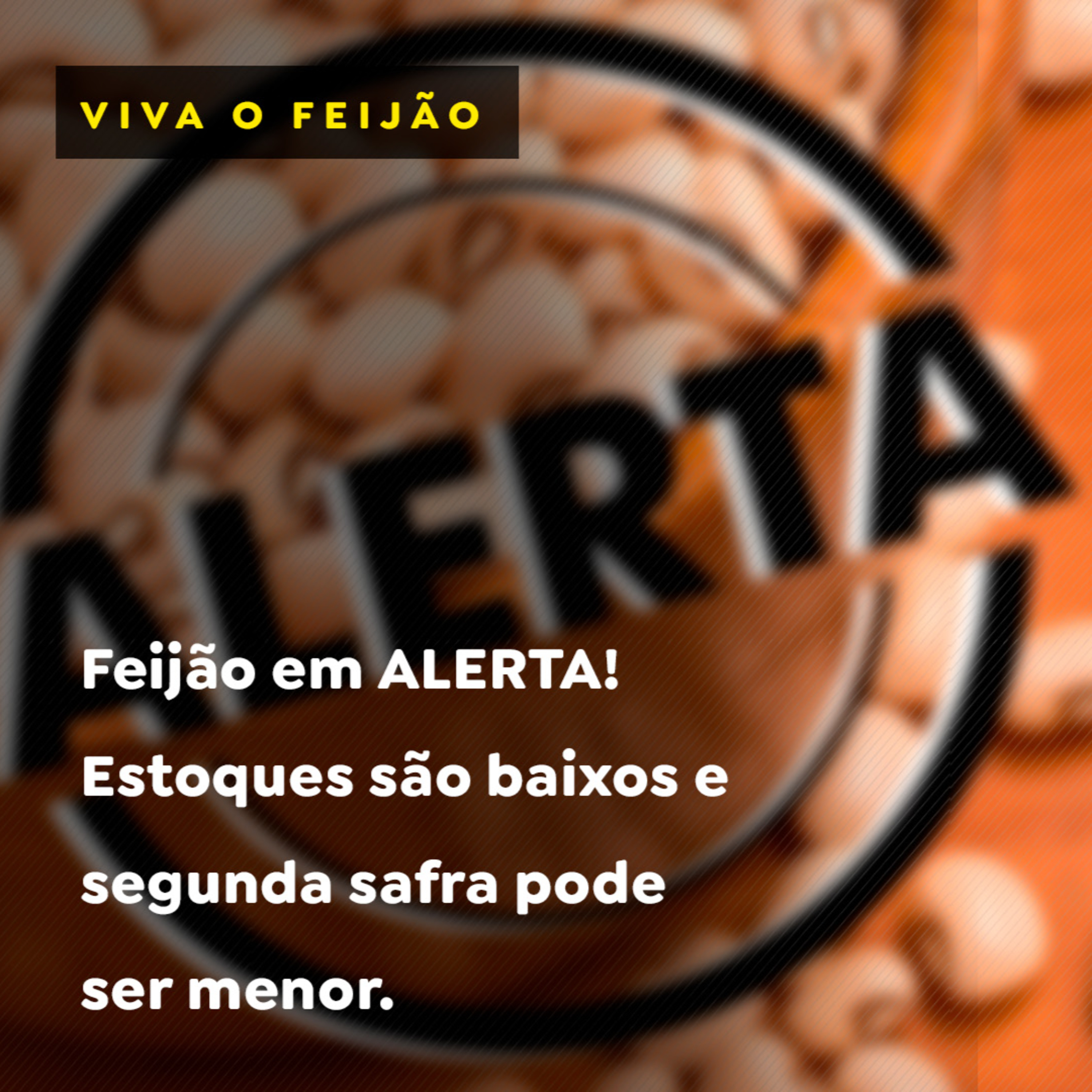 Feijão em ALERTA! Estoques são baixos e segunda safra pode ser menor. episode artwork