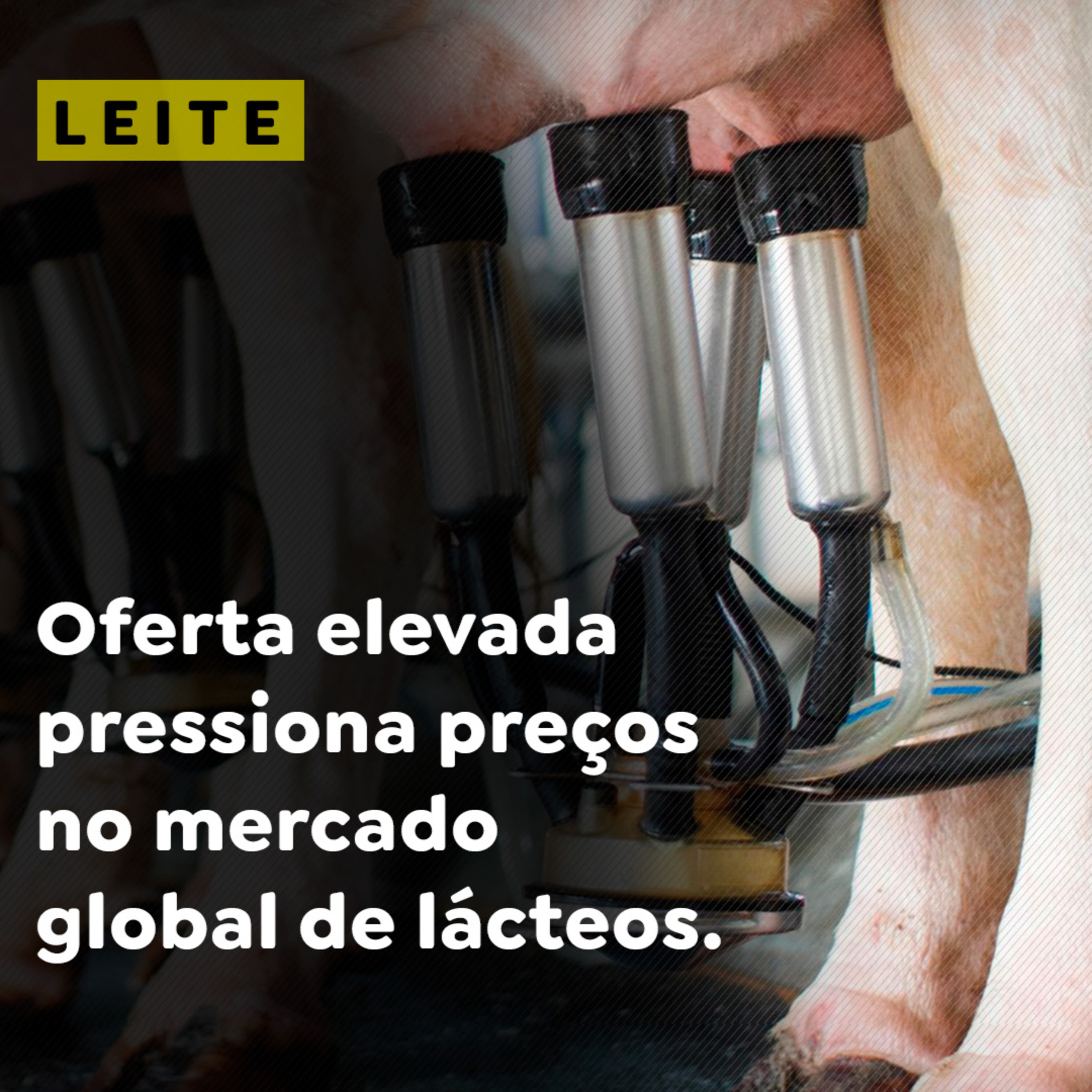 Oferta elevada pressiona preços no mercado global de lácteos episode artwork