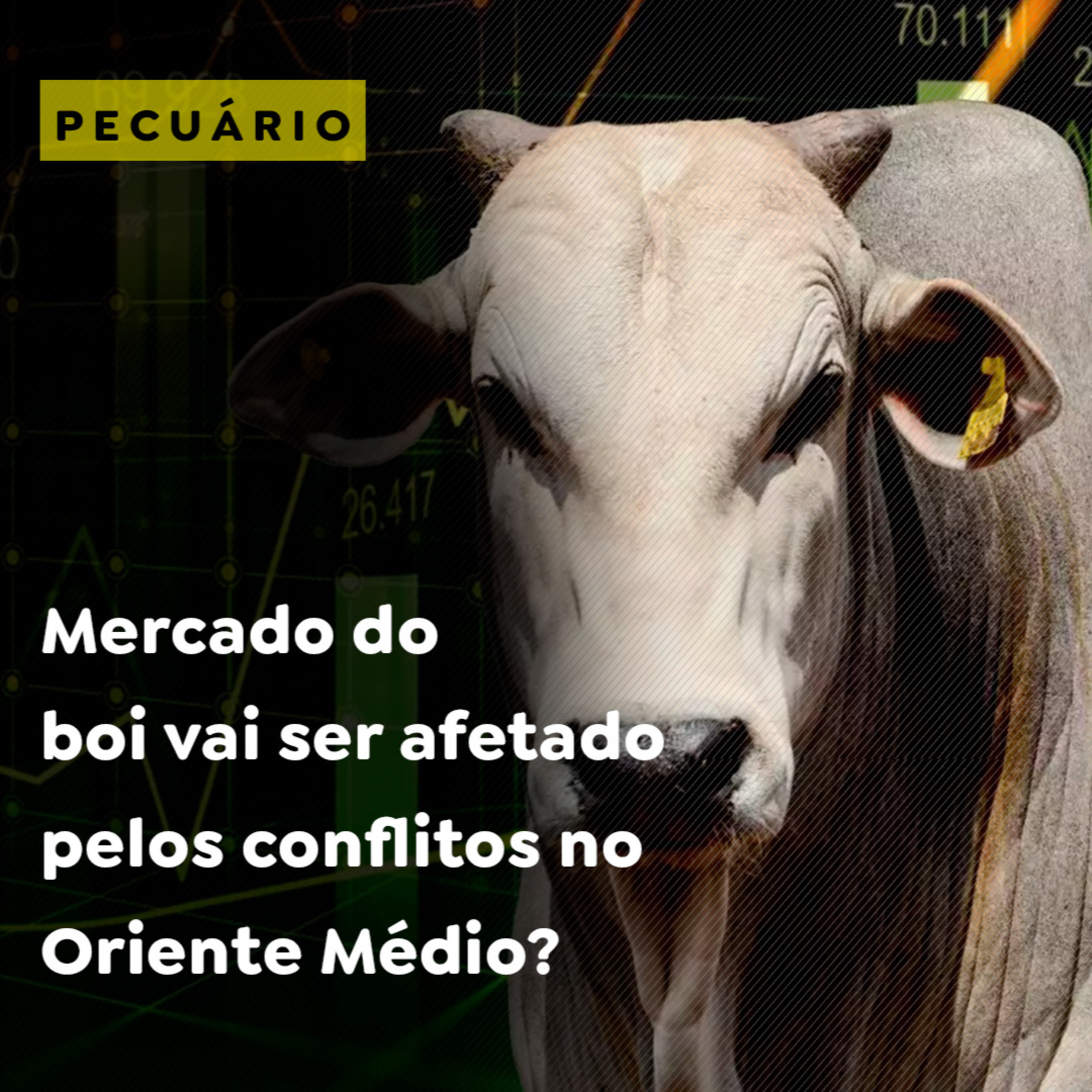 Mercado do boi vai ser afetado pelos conflitos no Oriente Médio? episode artwork