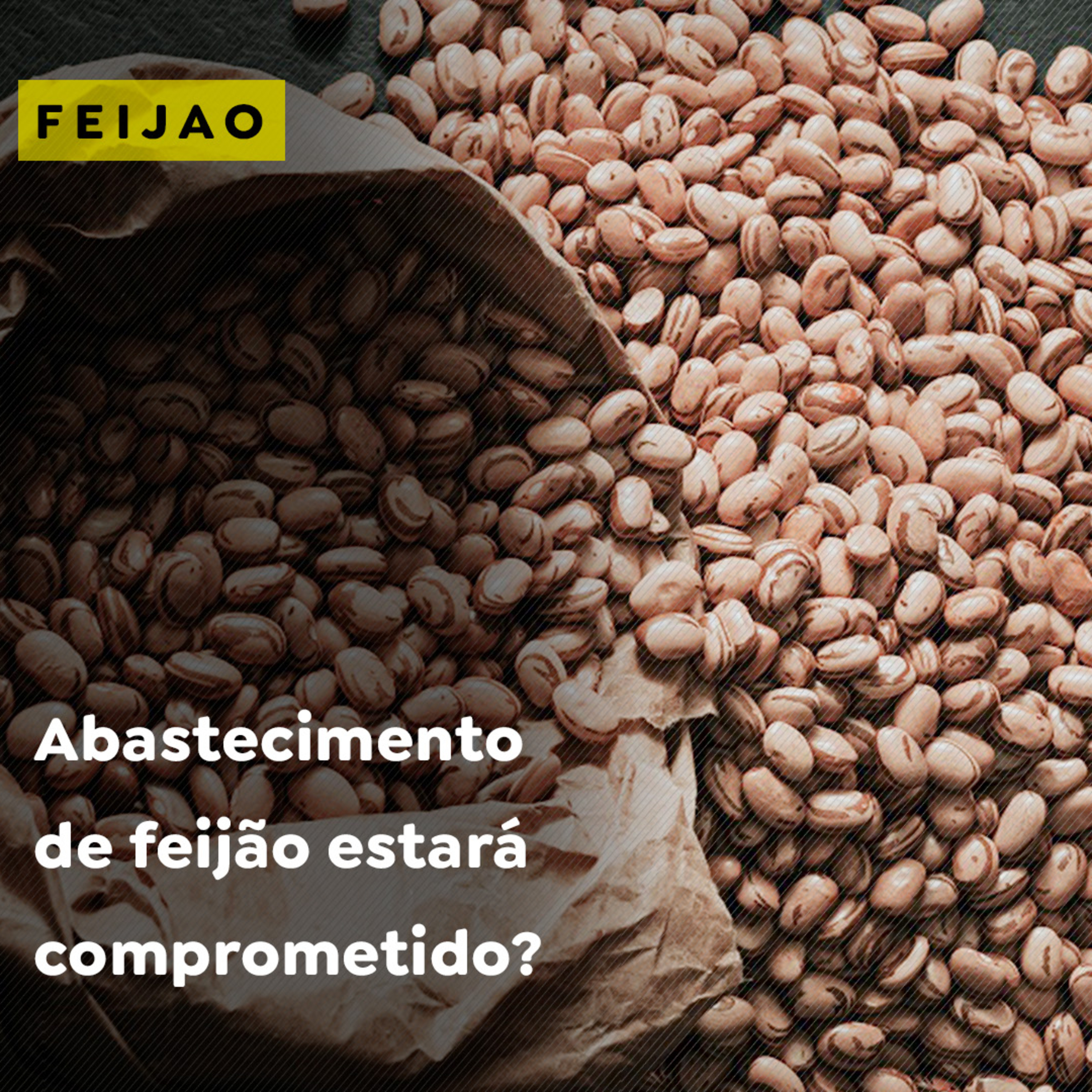 Abastecimento de feijão estará comprometido? episode artwork
