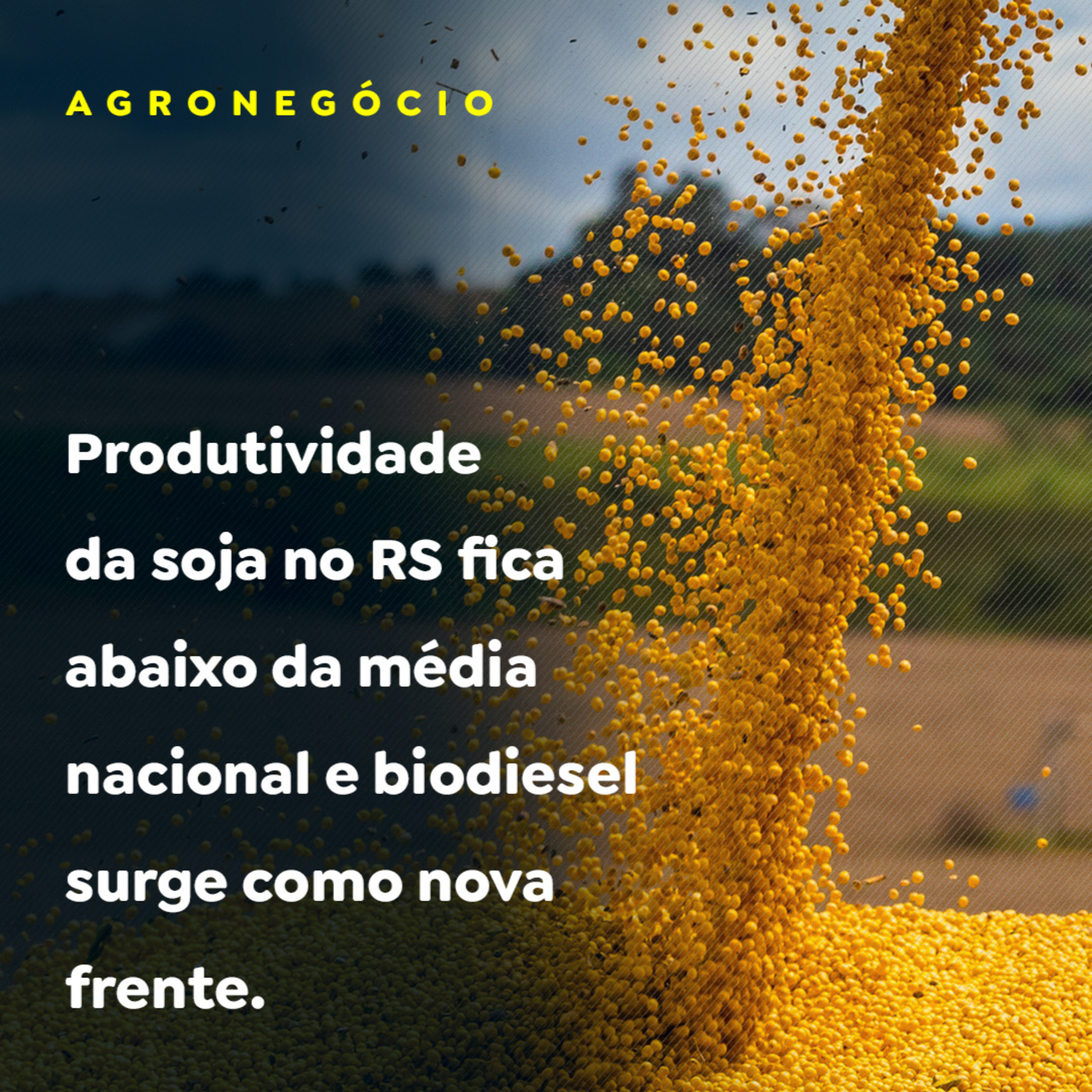 Produtividade da soja no RS fica abaixo da média nacional e biodiesel surge como nova frente. episode artwork