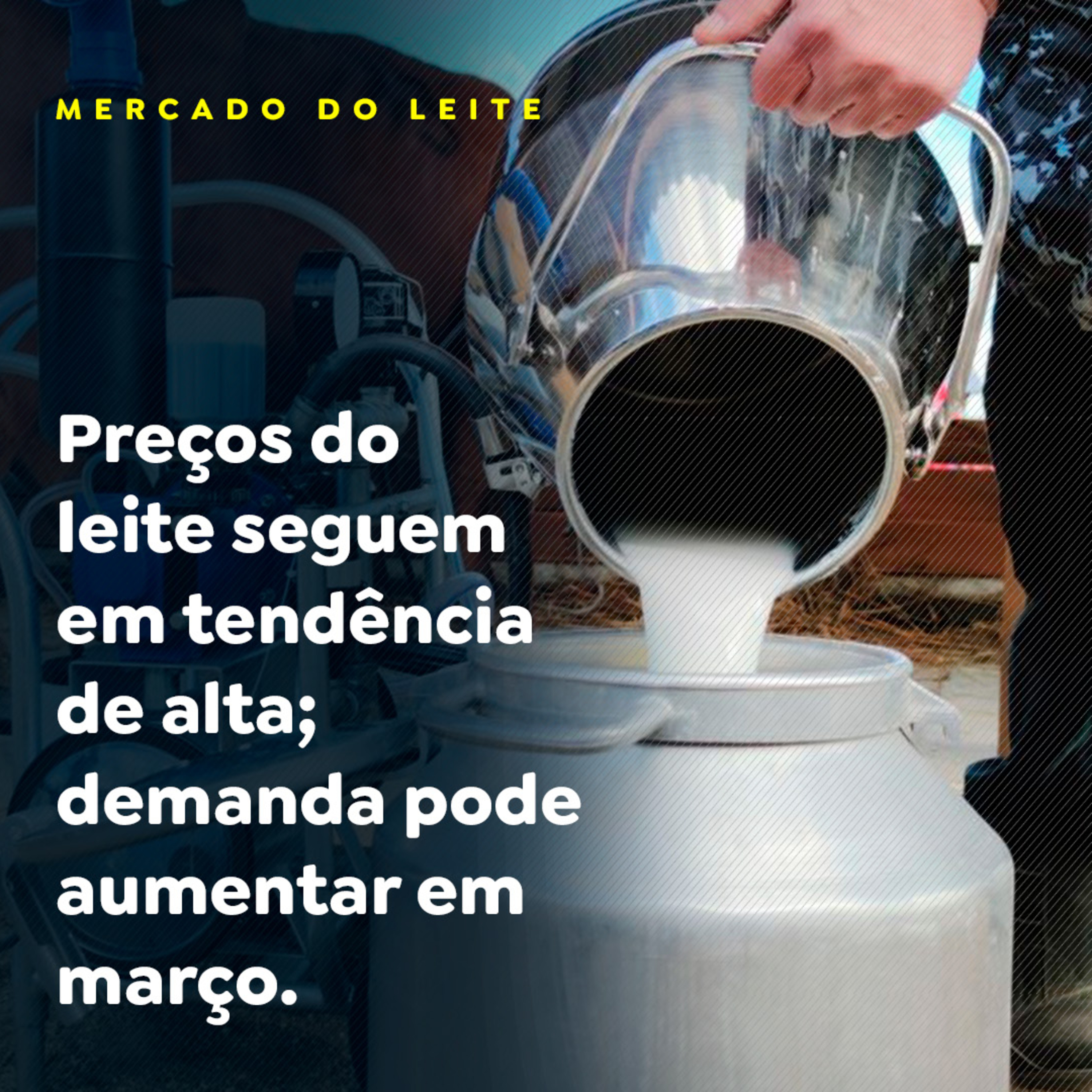 Preços do leite seguem em tendência de alta; demanda pode aumentar em março episode artwork