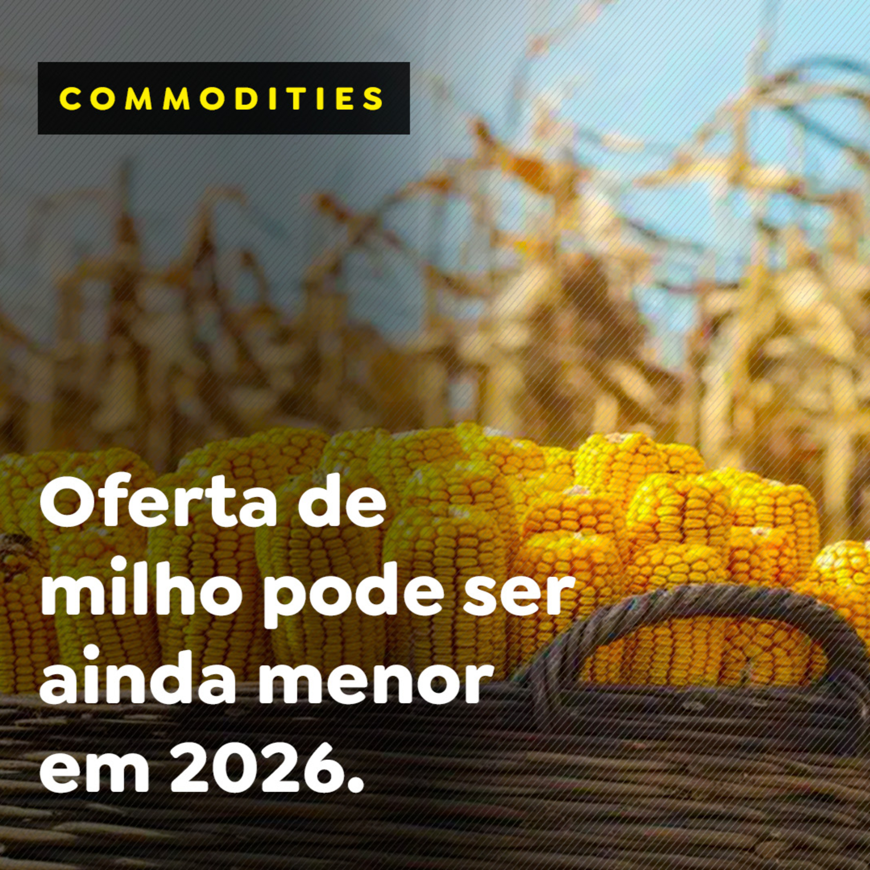 Oferta de milho pode ser ainda menor em 2026. episode artwork