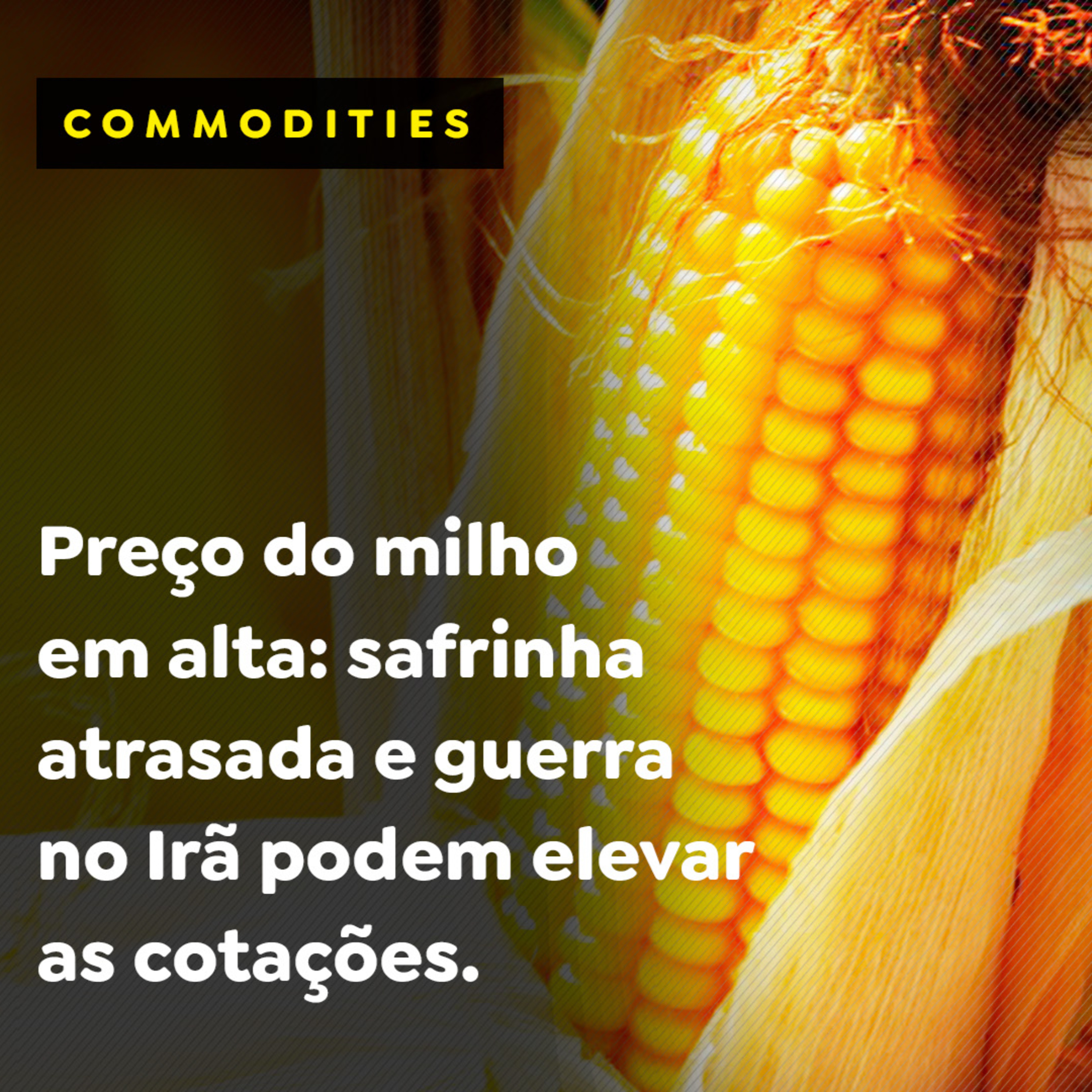 Preço do milho em alta: safrinha atrasada e guerra no Irã podem elevar as cotações.  episode artwork