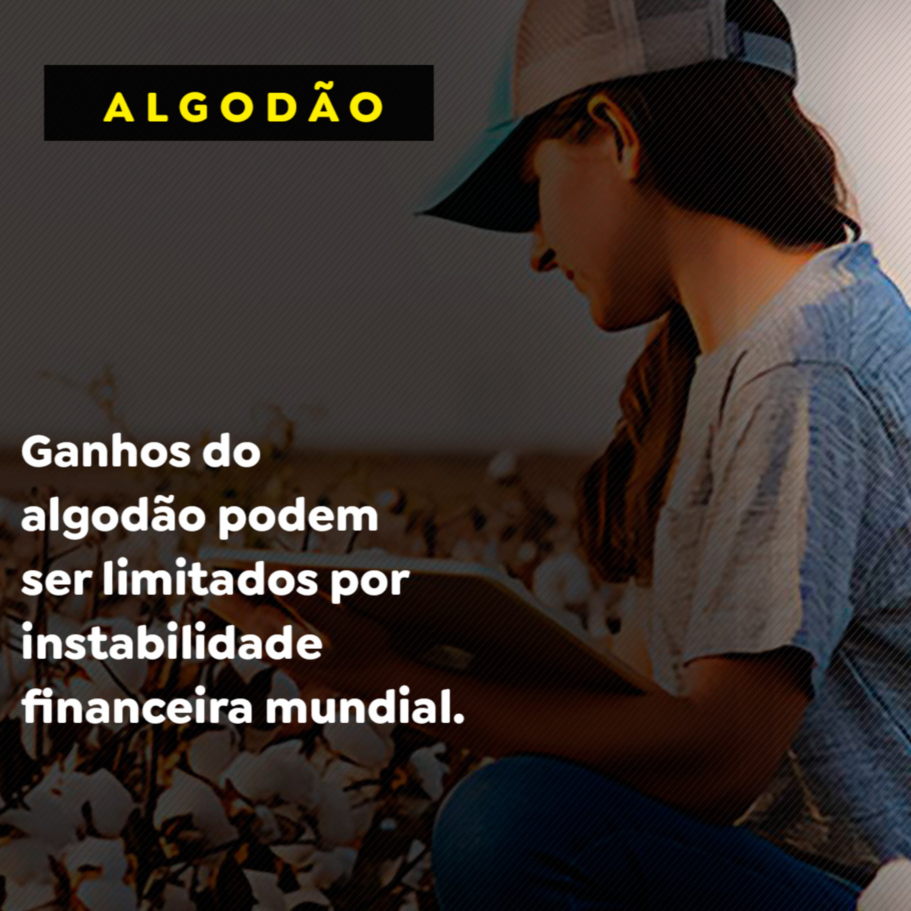 Ganhos do algodão podem ser limitados por instabilidade financeira mundial. episode artwork