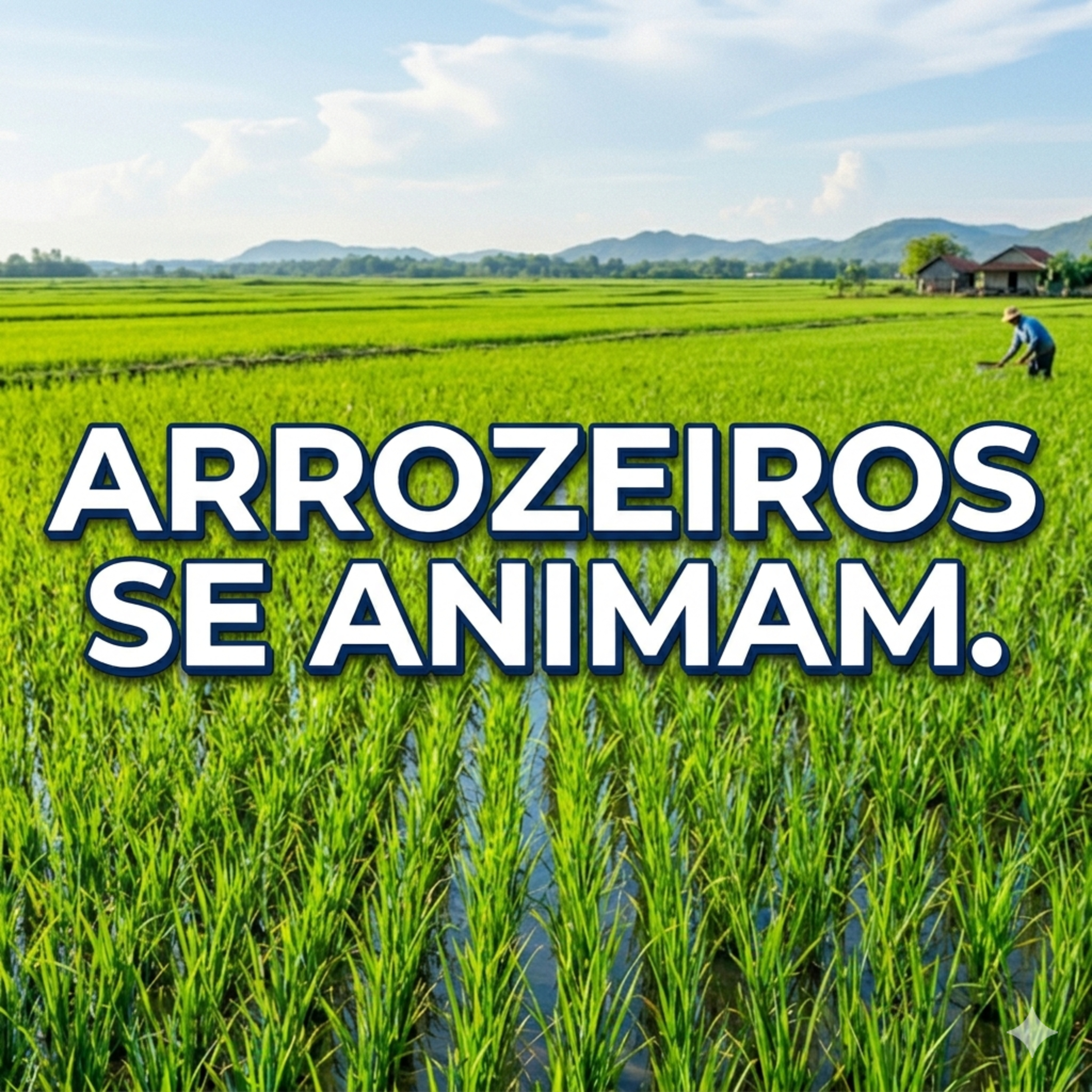 Arrozeiros se animam com safra; exportações podem ser o caminho  episode artwork