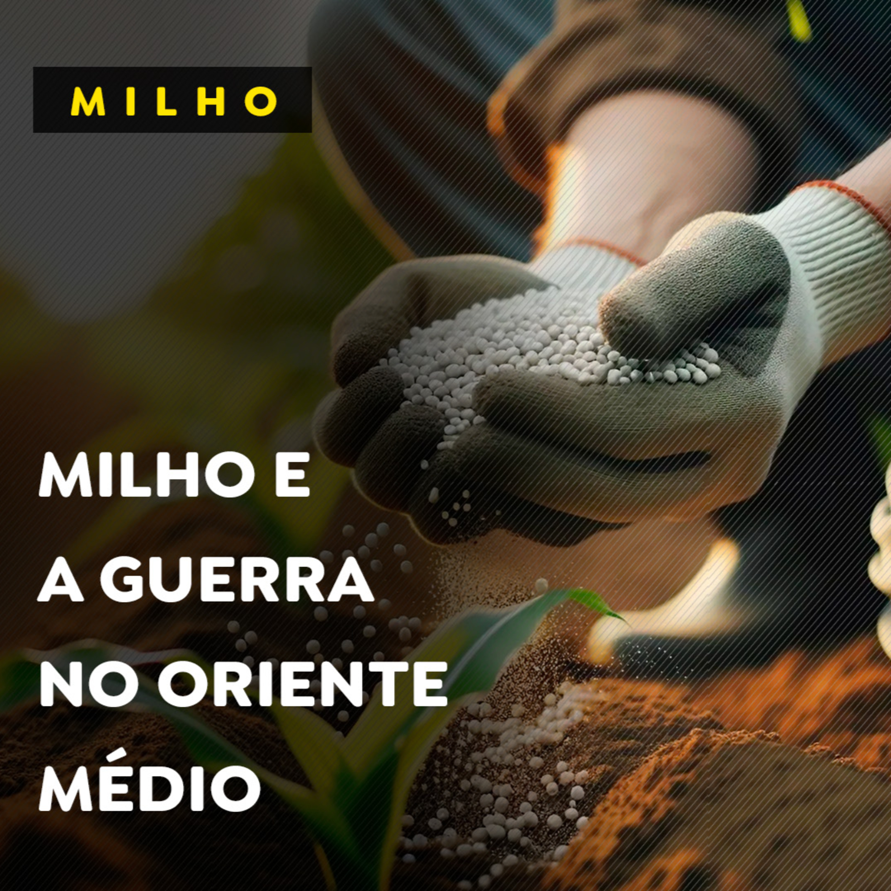 Feijão com preços elevados muda consumo episode artwork