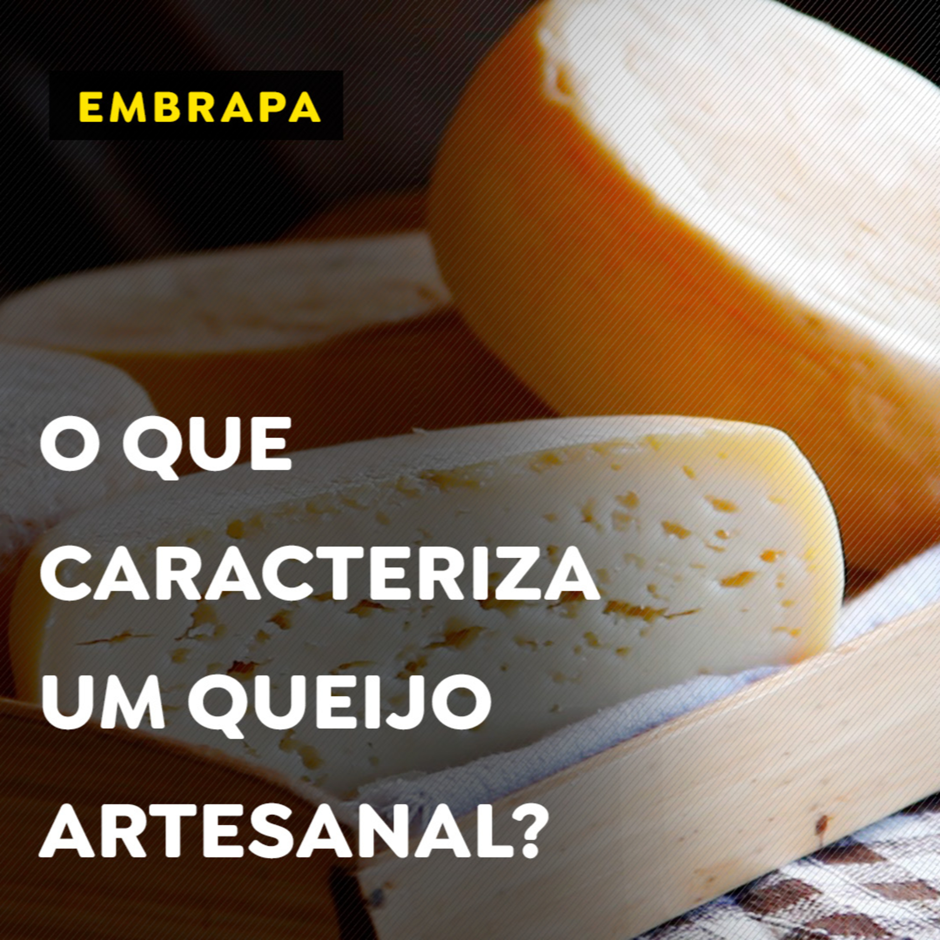 O que caracteriza um queijo artesanal? episode artwork