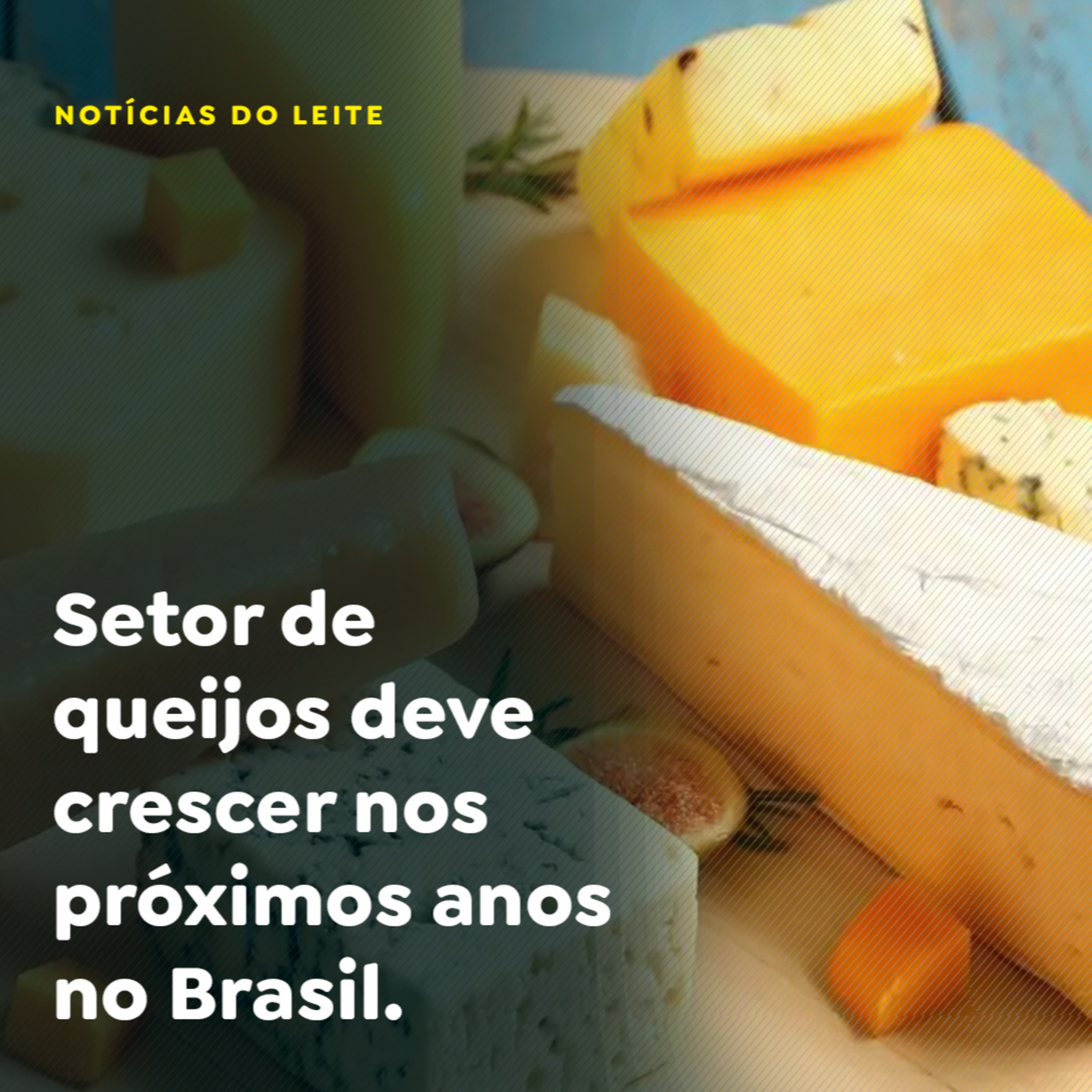 Setor de queijos deve crescer nos próximos anos no Brasil episode artwork