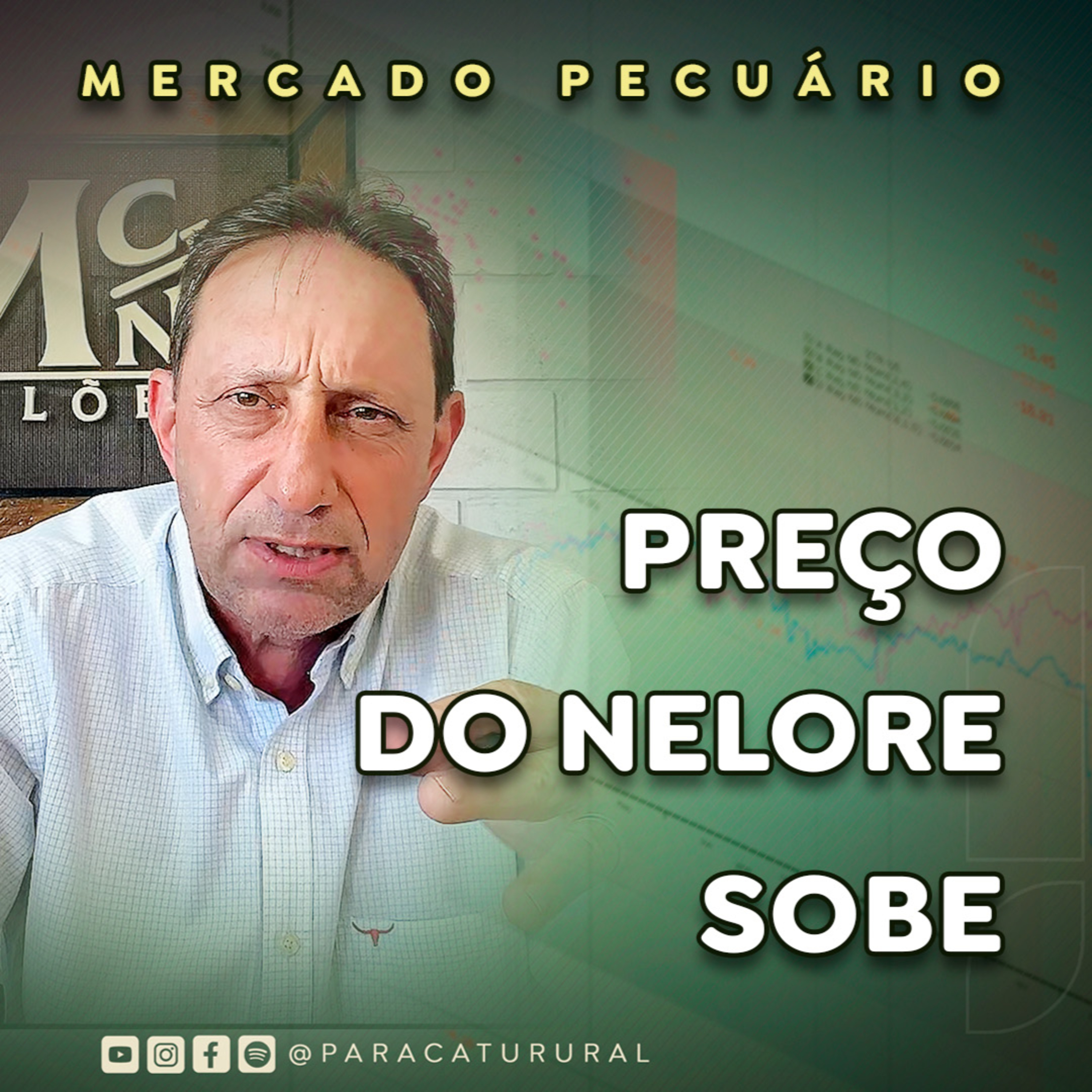 Preço do Nelore sobe; demanda dos frigoríficos deve trazer novas altas episode artwork