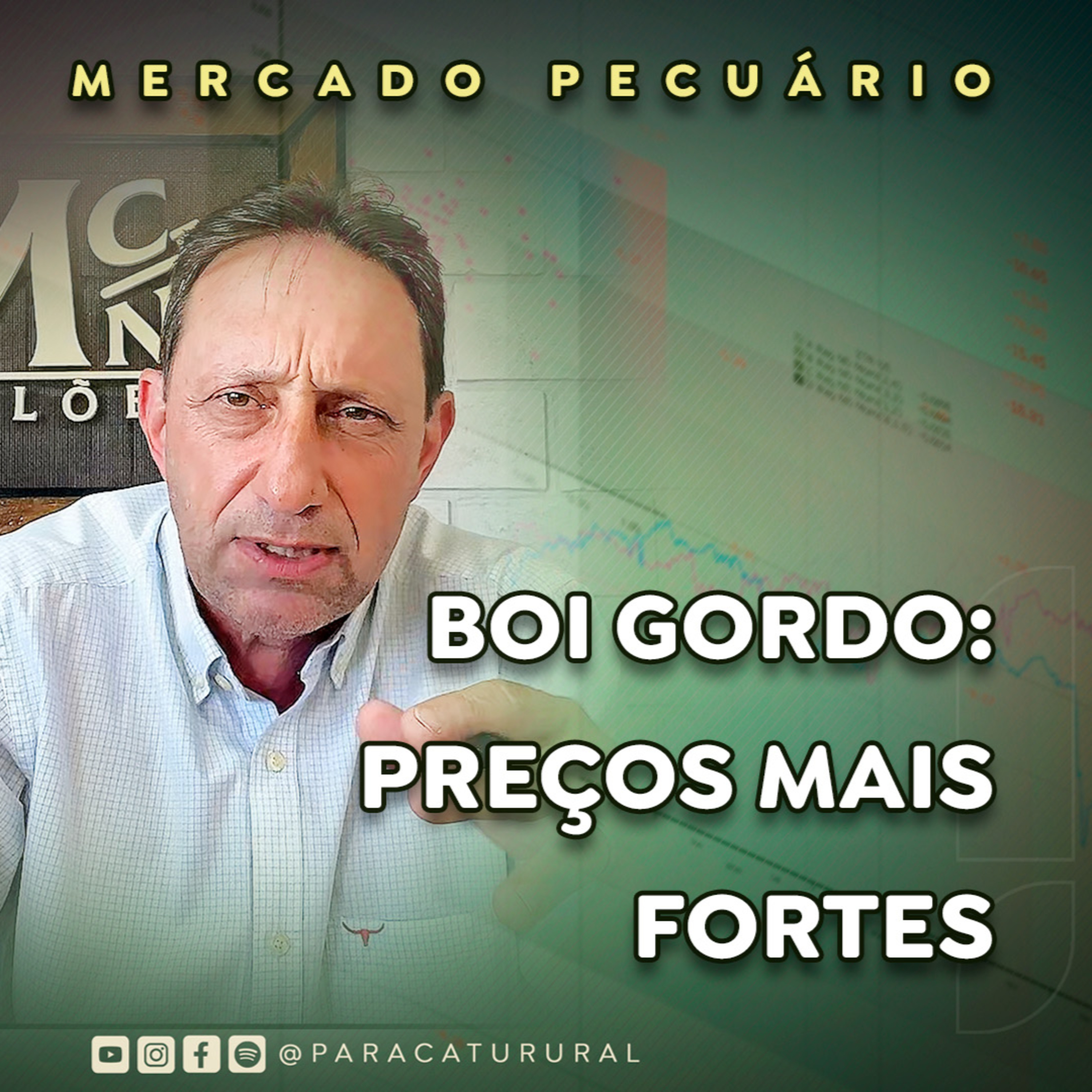 Cotação do boi gordo: expectativa é de preços mais fortes no curto prazo episode artwork