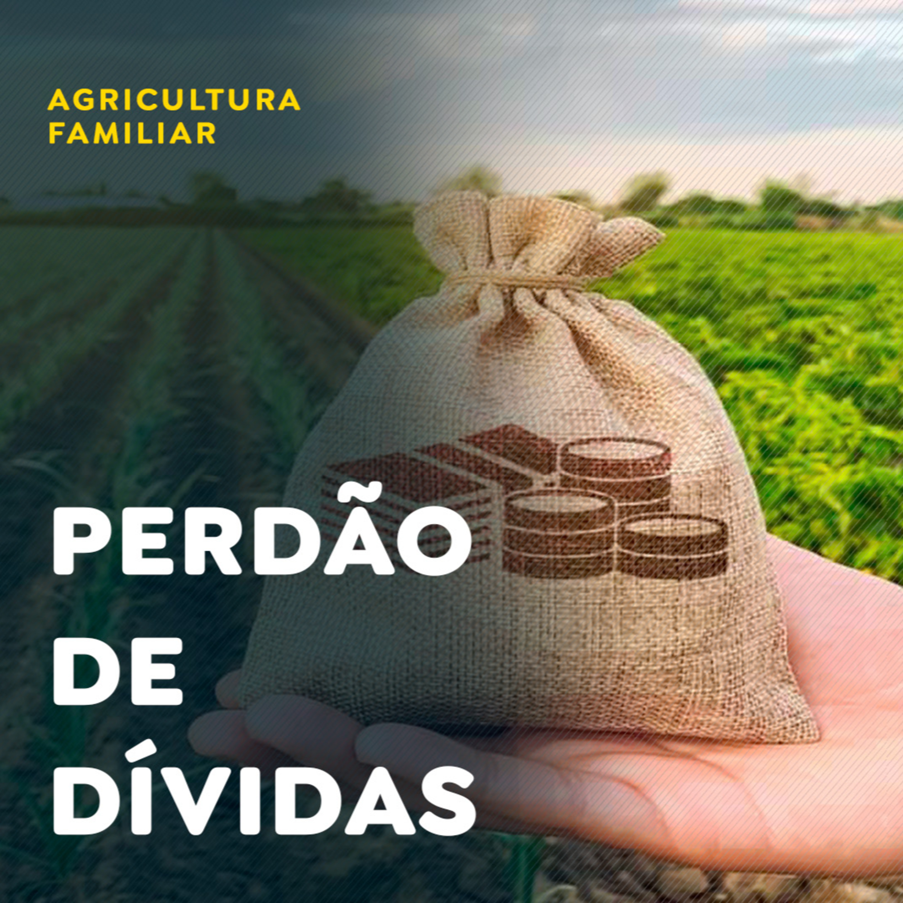 Projeto que fortalece agricultura familiar e prevê perdão de dívidas avança na ALMG episode artwork