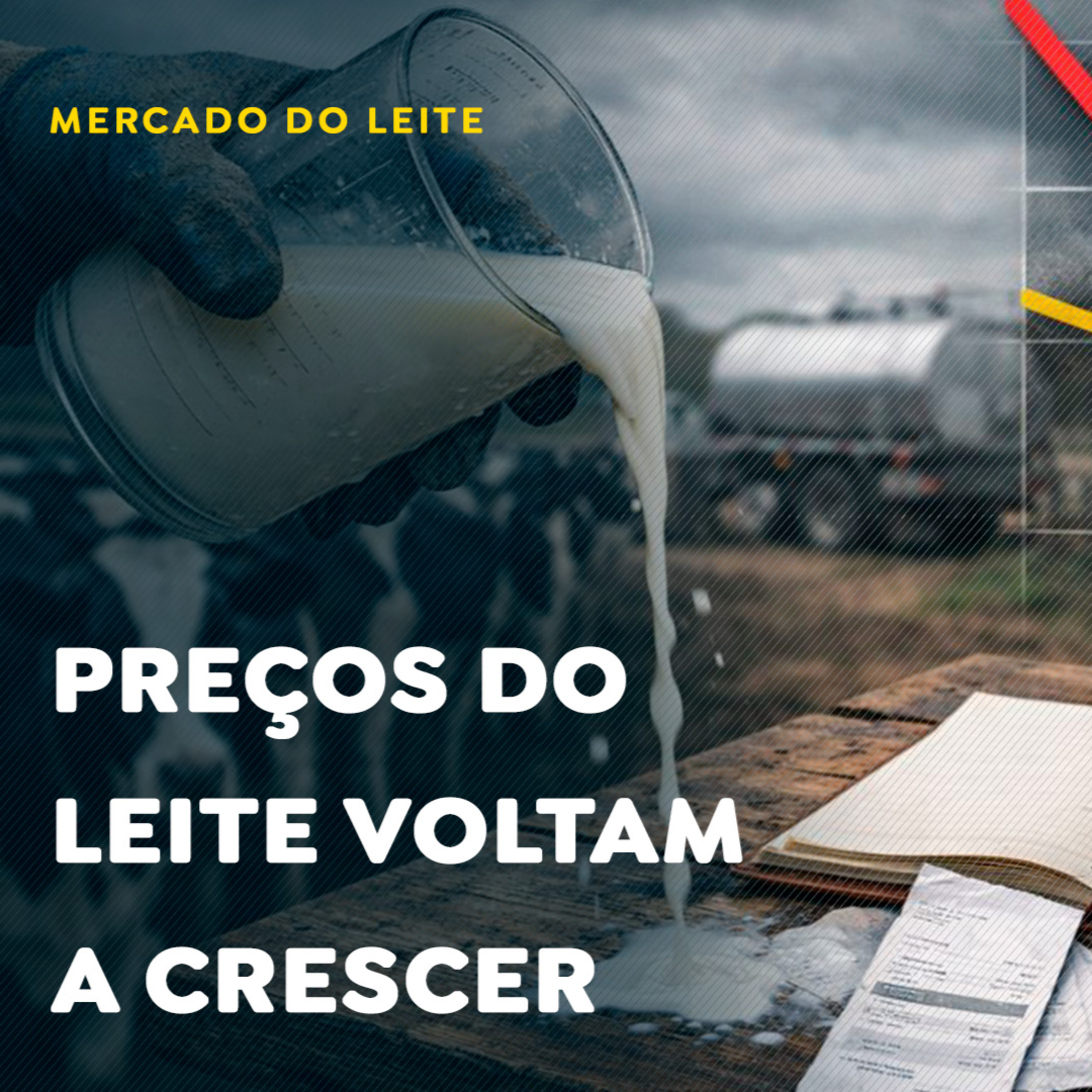 Preços do leite voltam a crescer em novo levantamento quinzenal episode artwork