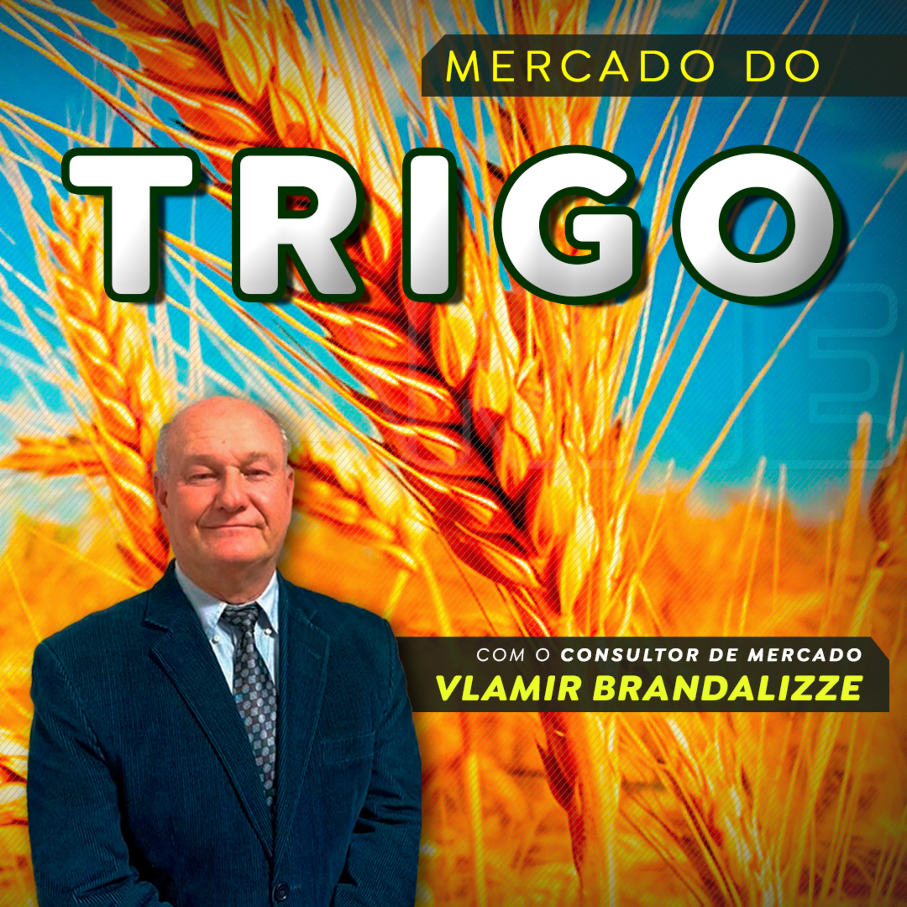 Preço do trigo pode disparar no segundo semestre episode artwork