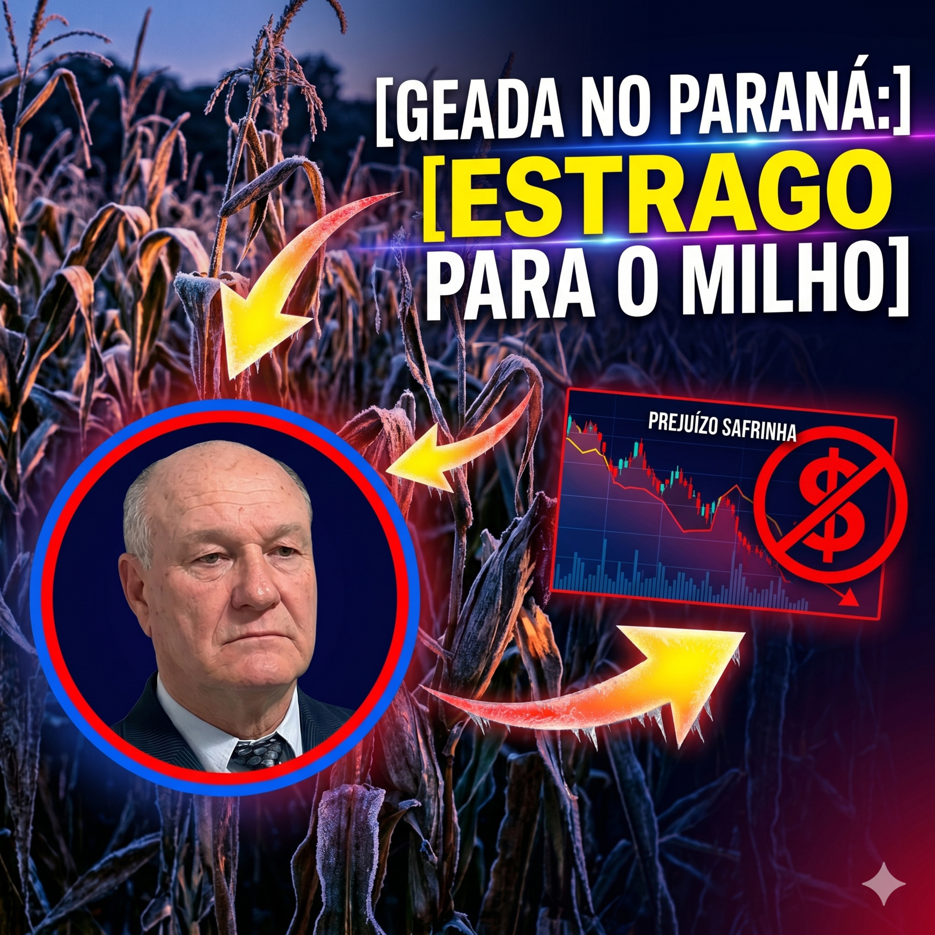 Geada no Paraná: Qual o real tamanho do estrago para o milho safrinha? episode artwork