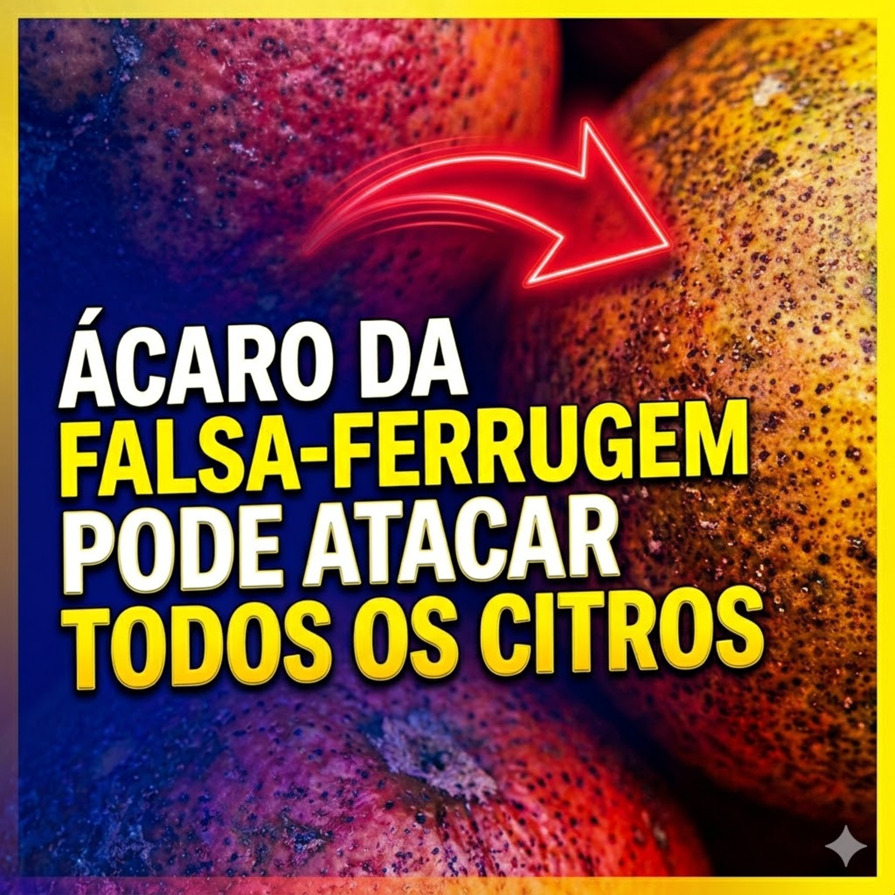 Paracatu Rural - Jornal do agronegócio