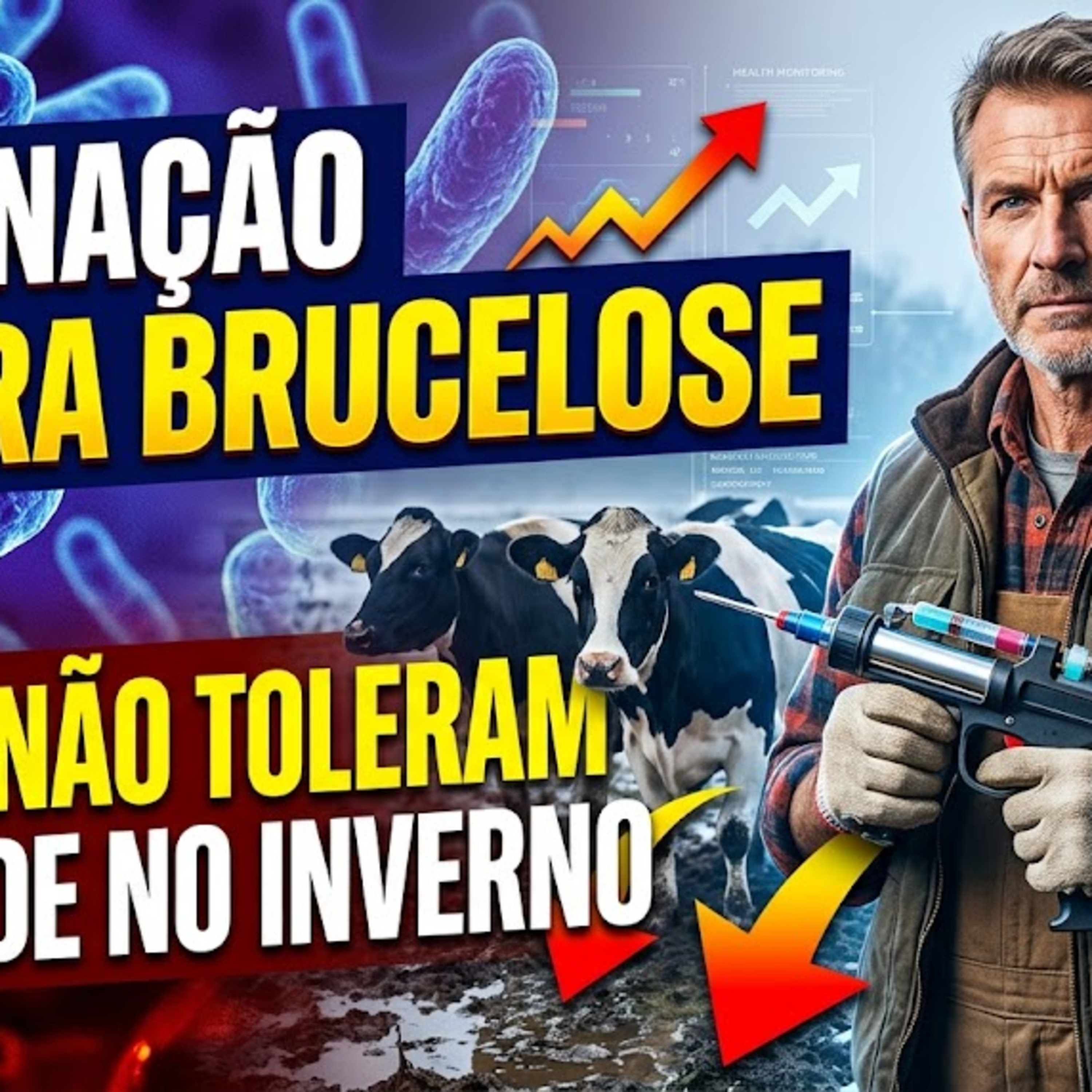 Vacinação contra brucelose; Vacas não toleram umidade no inverno episode artwork