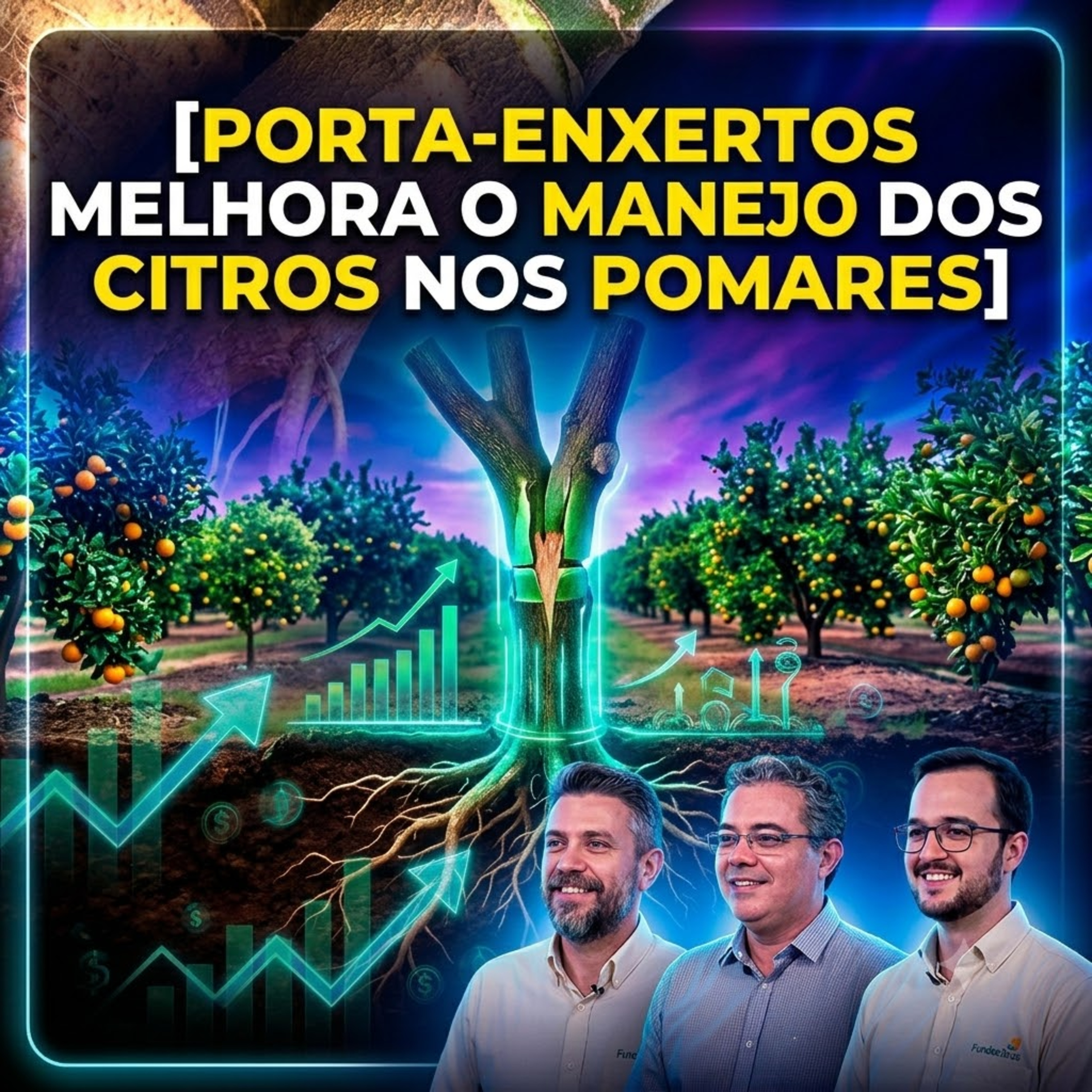 Porta-enxertos melhora o manejo dos citros nos pomares episode artwork