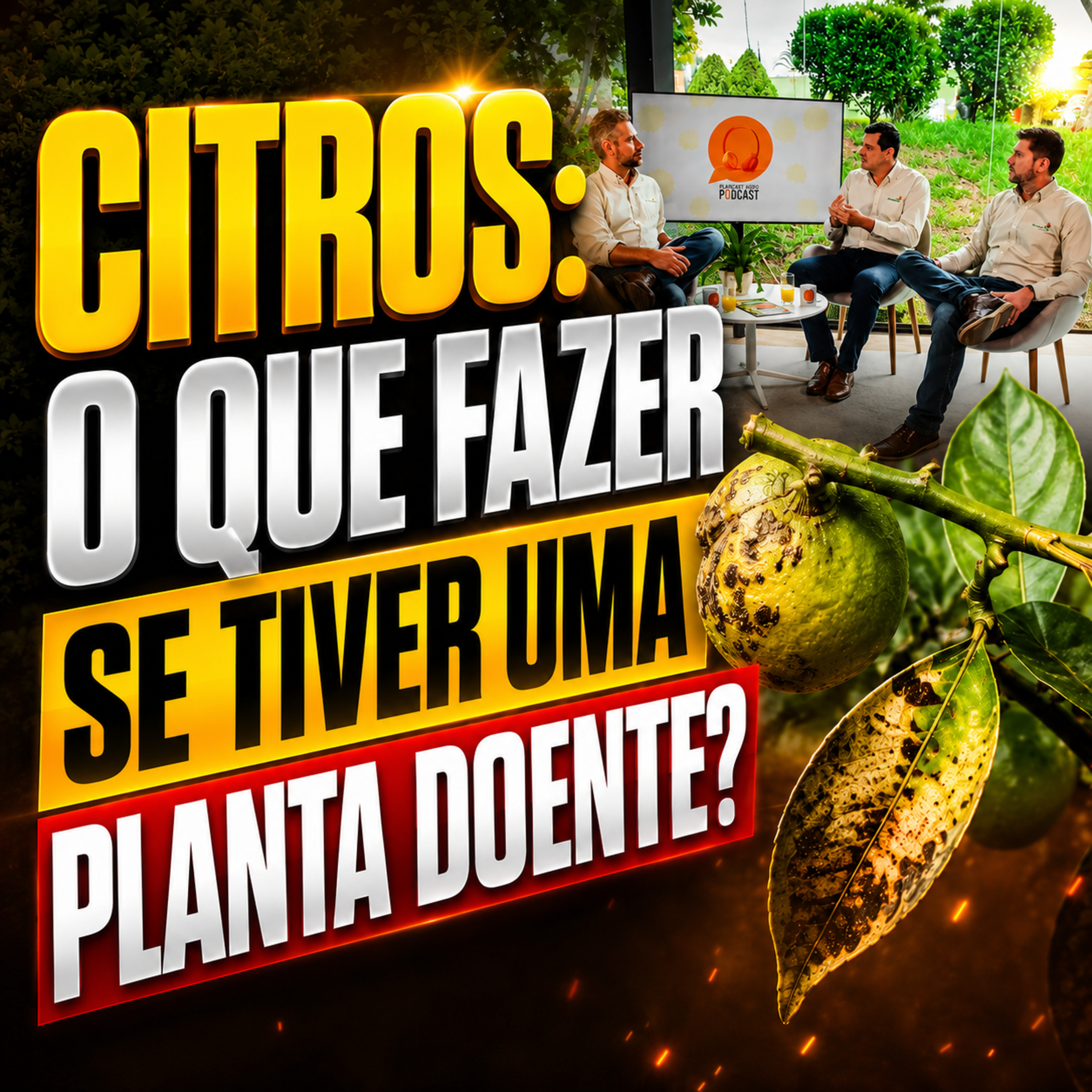 Citros: o que fazer se tiver uma planta doente no pomar?  episode artwork