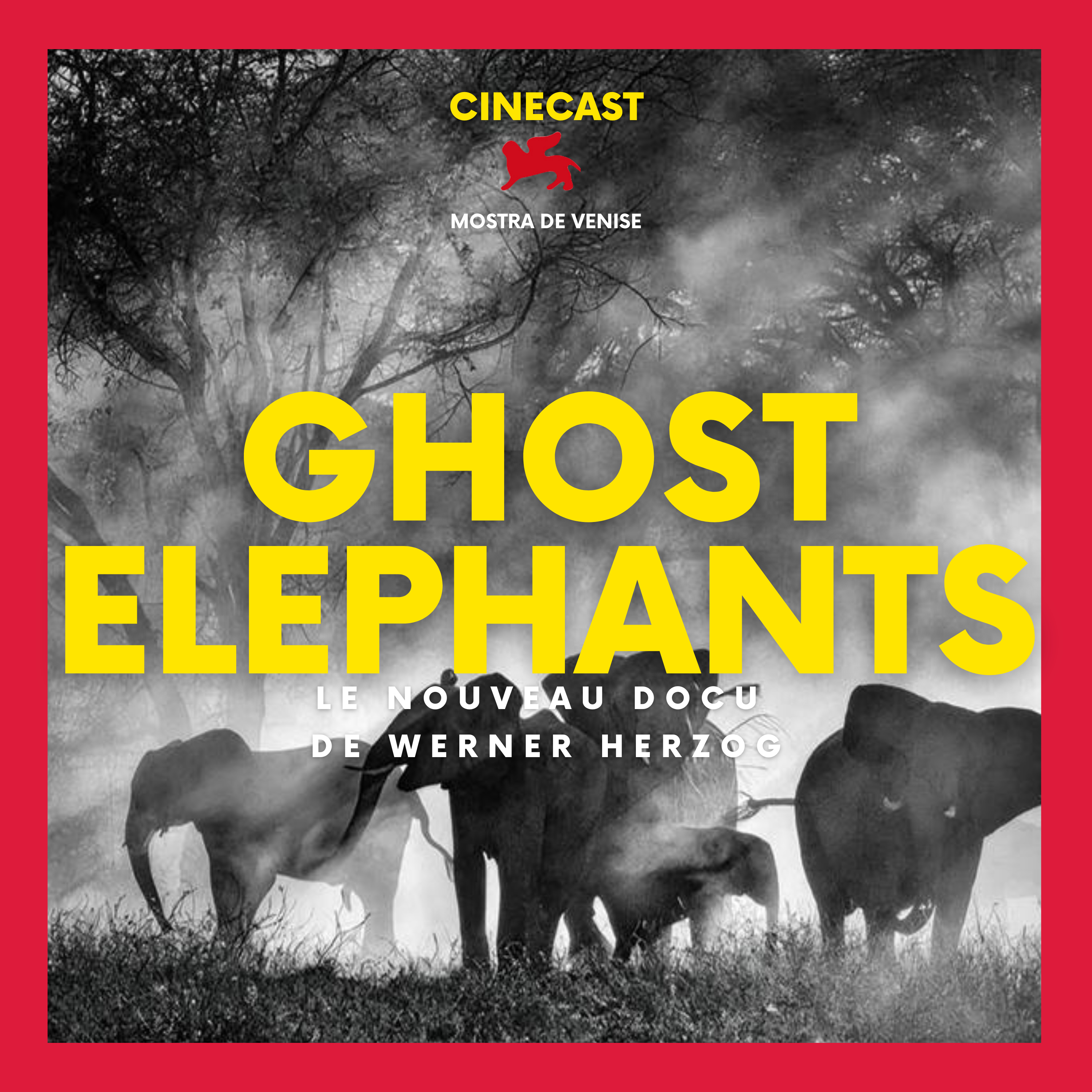 GHOST ELEPHANTS : Le nouveau docu de Werner Herzog (Venise 2025)