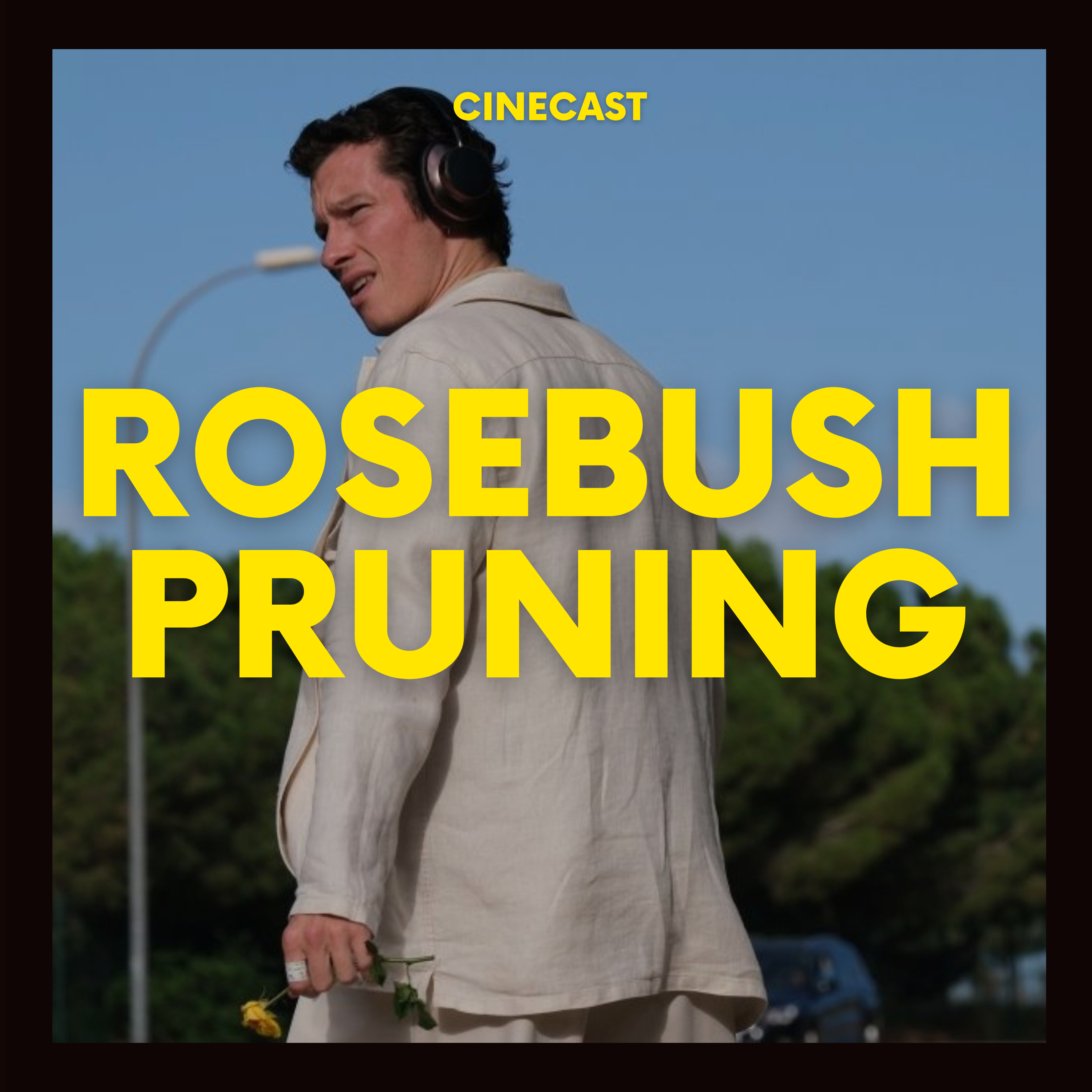 ROSEBUSH PRUNING : Les épines sont toujours dans la famille episode artwork