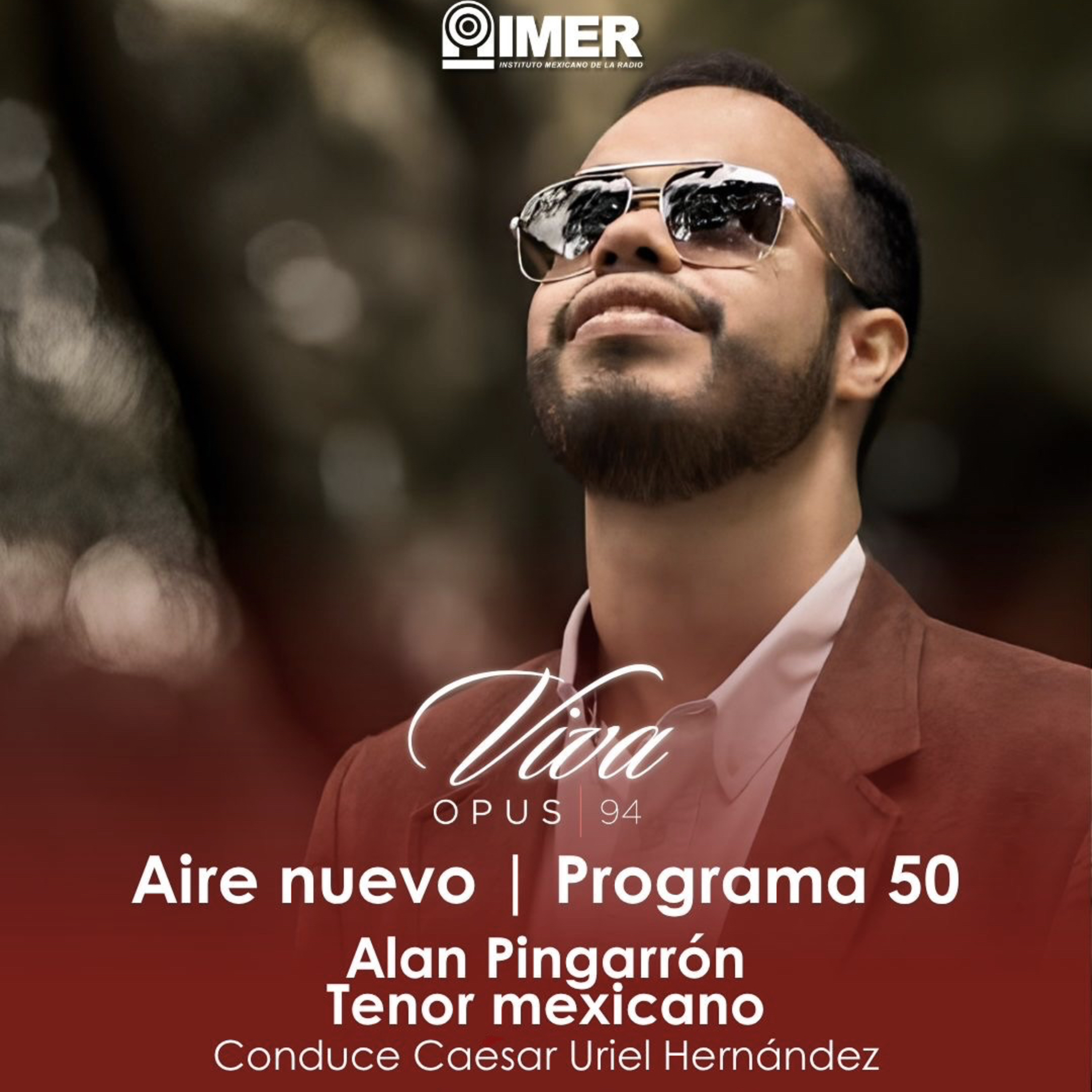 AIRE NUEVO - ESPECIAL EPISODIO 50 - Alan Pingarrón: Historia y vivencias de una luminaria nacional episode artwork