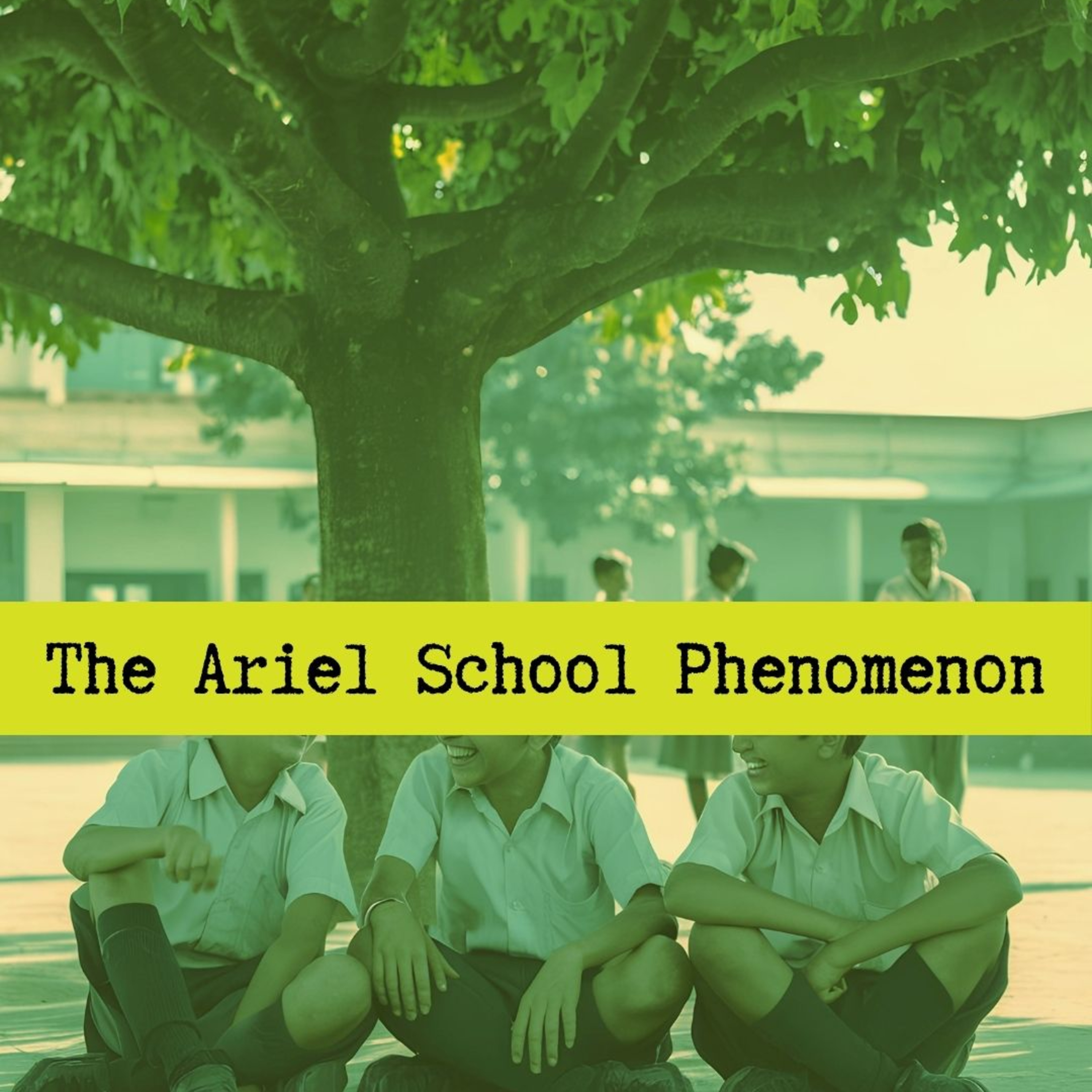 Strangers In The Sky Podcast