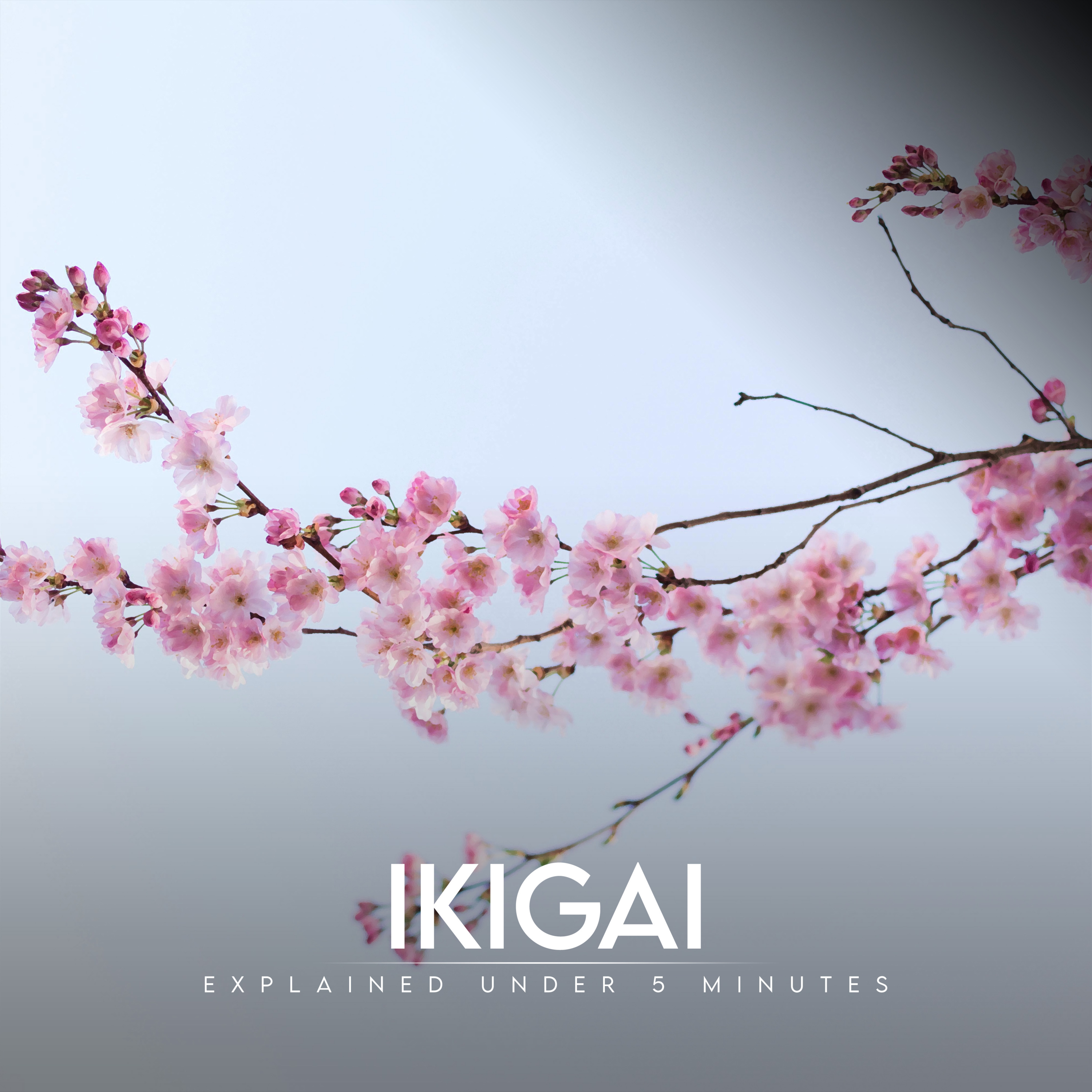 Ikigai - Explained under 5 minutes