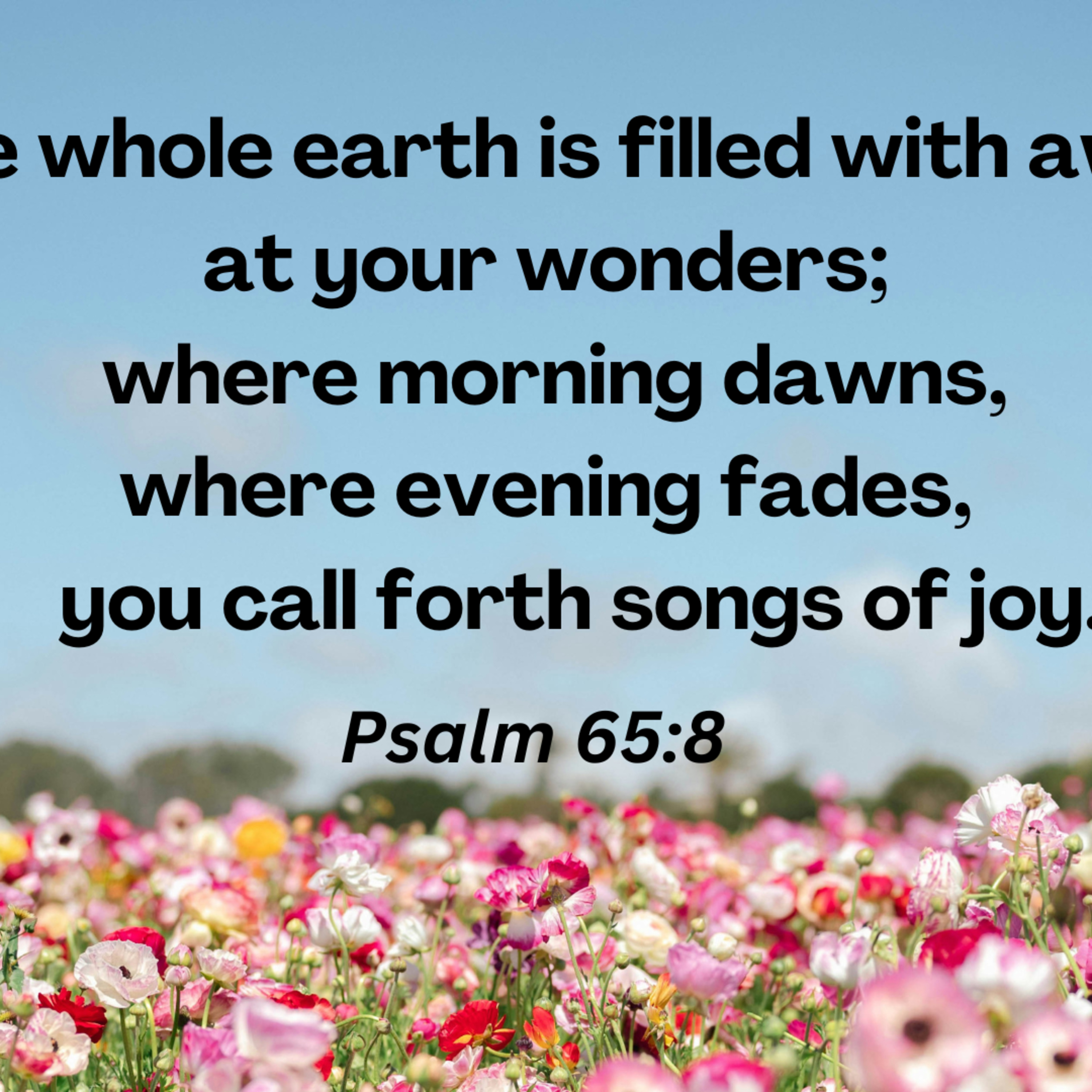  Psalm 65 - Praying the Psalms: Thanksgiving episode artwork