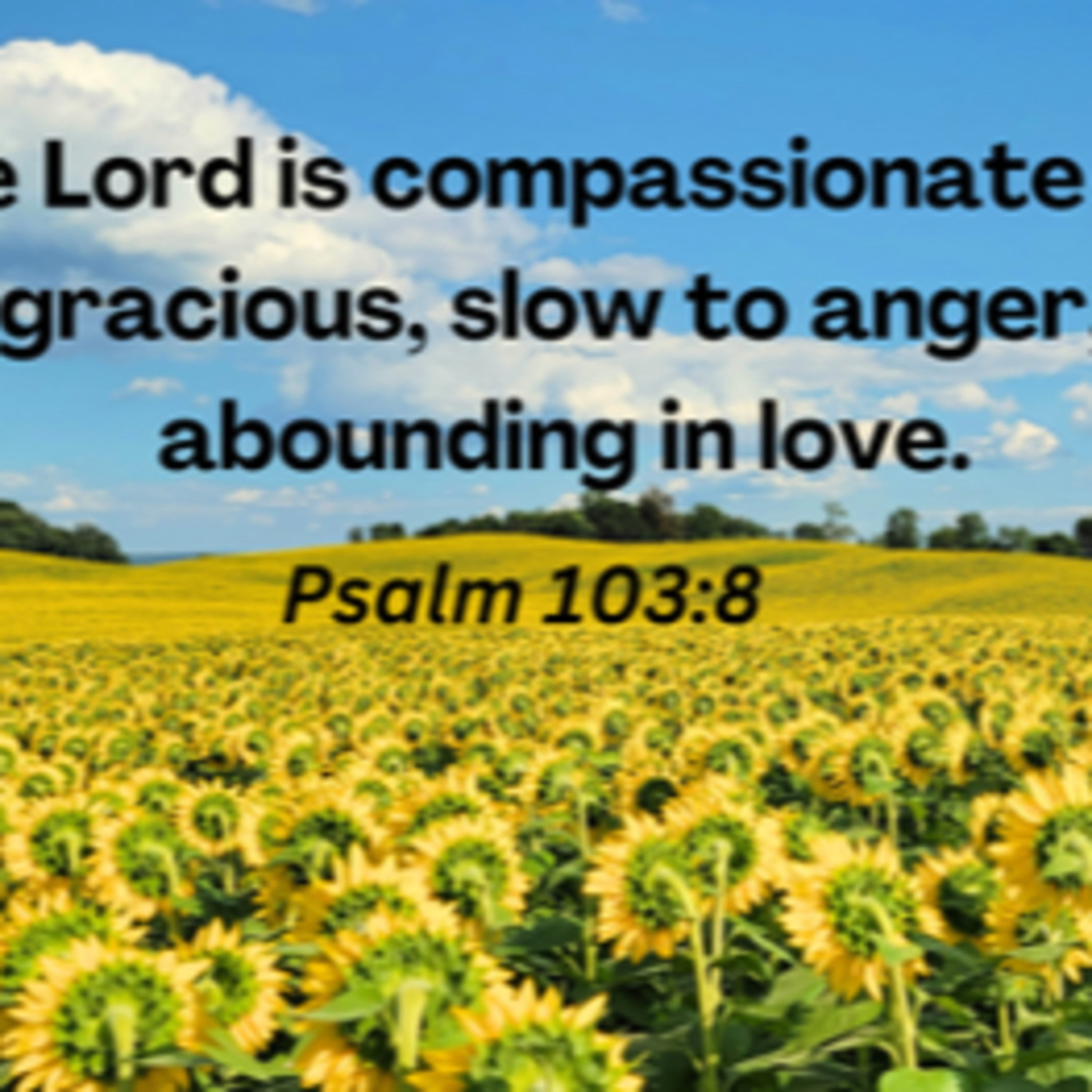 Psalm 103 - Praying the Psalms: Meditation episode artwork