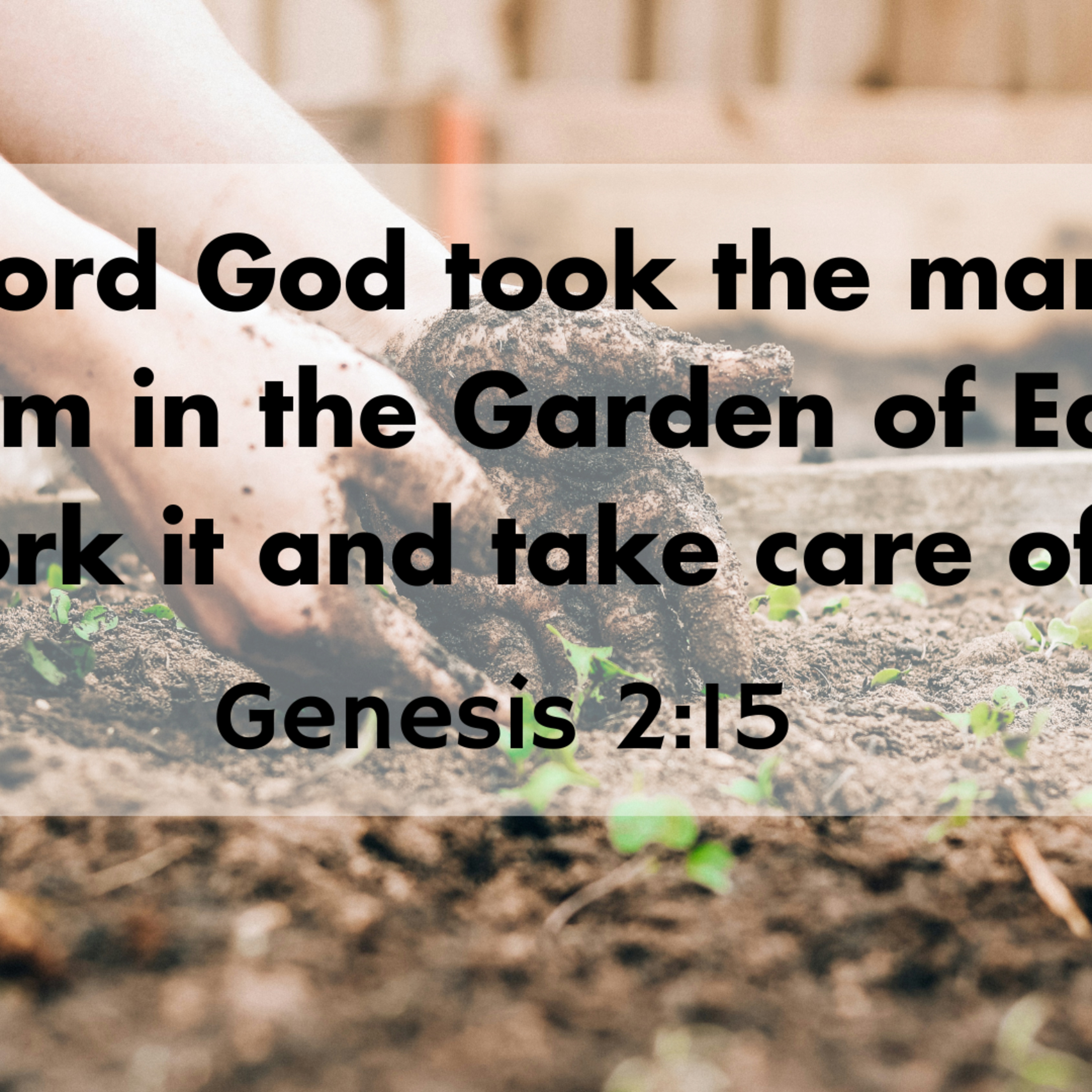 Genesis 1:26-28, 2:15-20 - Beginnings: Ruling the World episode artwork