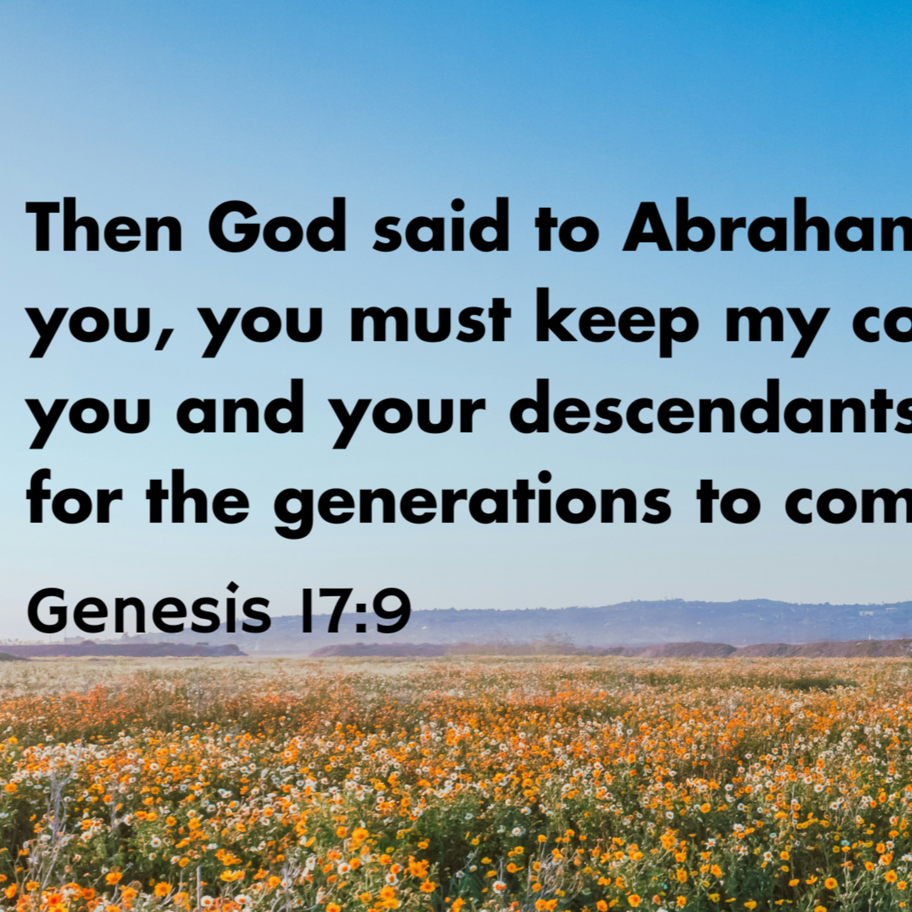 Genesis 17:1-22 - Abraham: Covenant of Circumcision episode artwork
