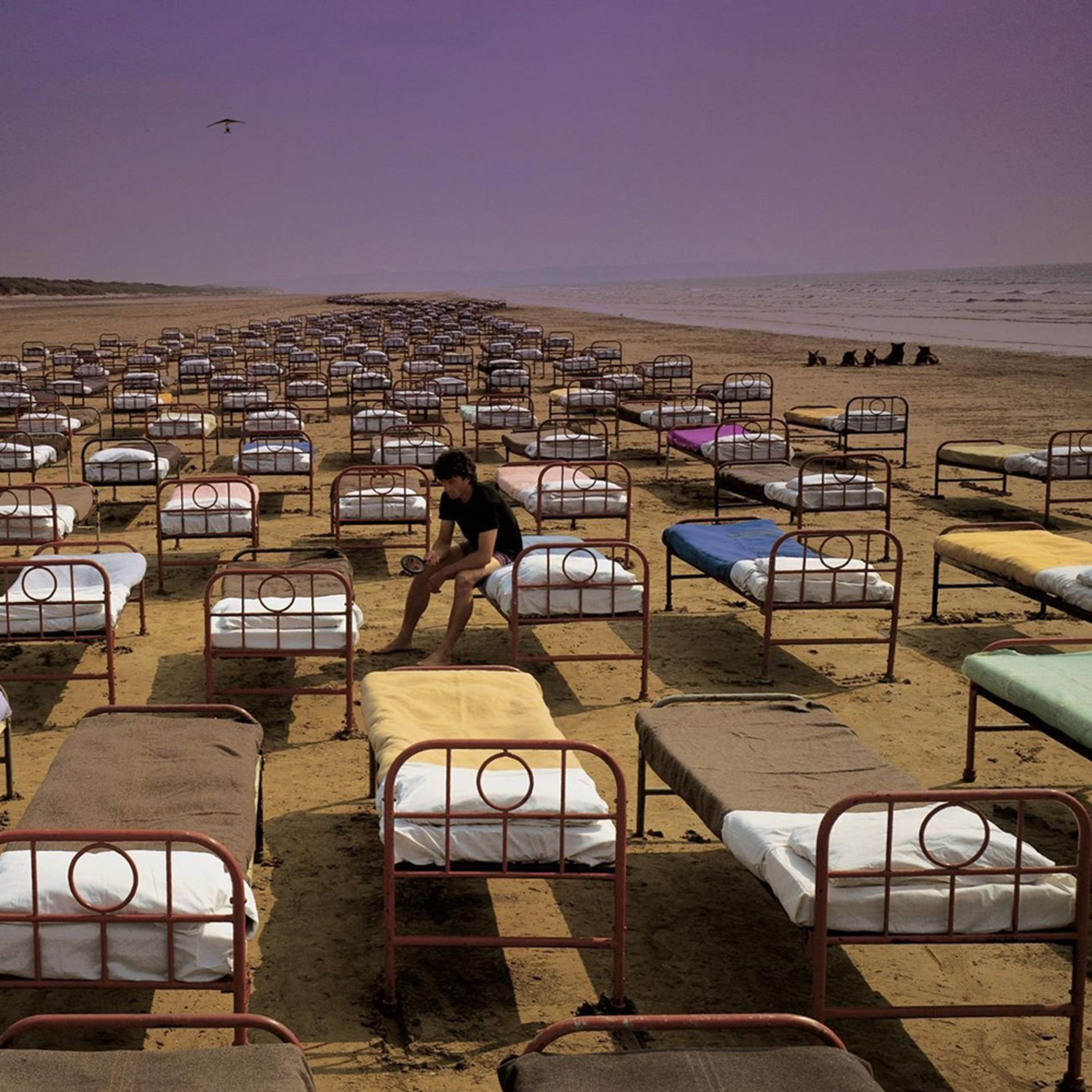 Pink Floyd: A Momentary Lapse of Reason - Good Album... Not A Great One episode artwork