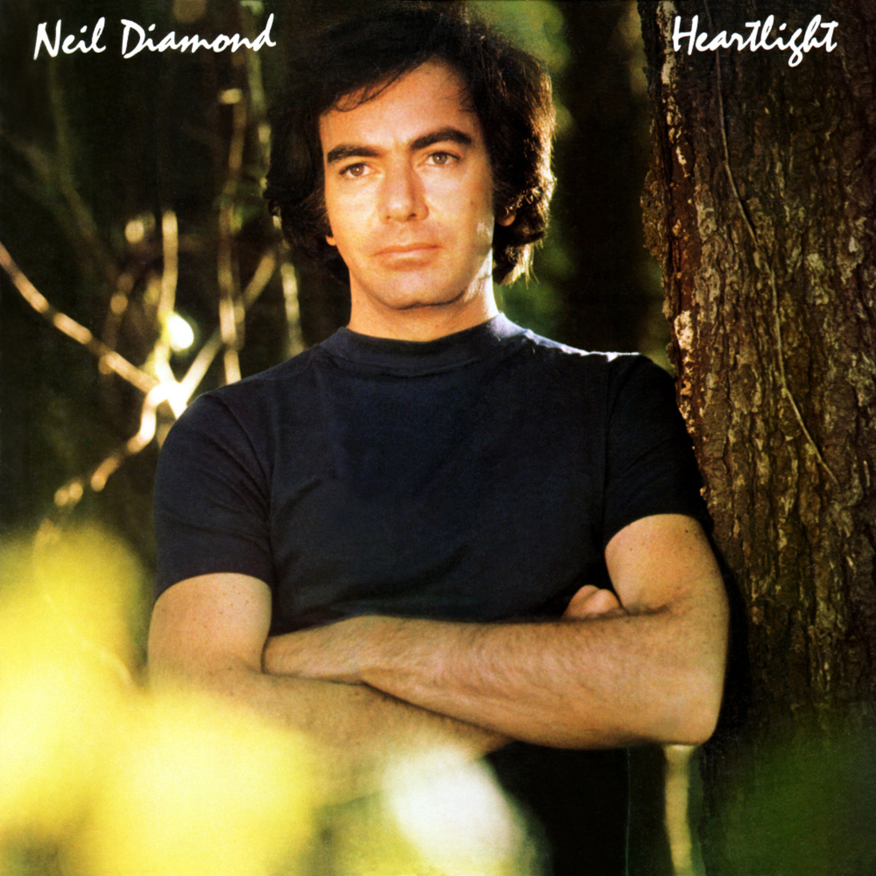 Neil Diamond - Heartlight: Album Review episode artwork