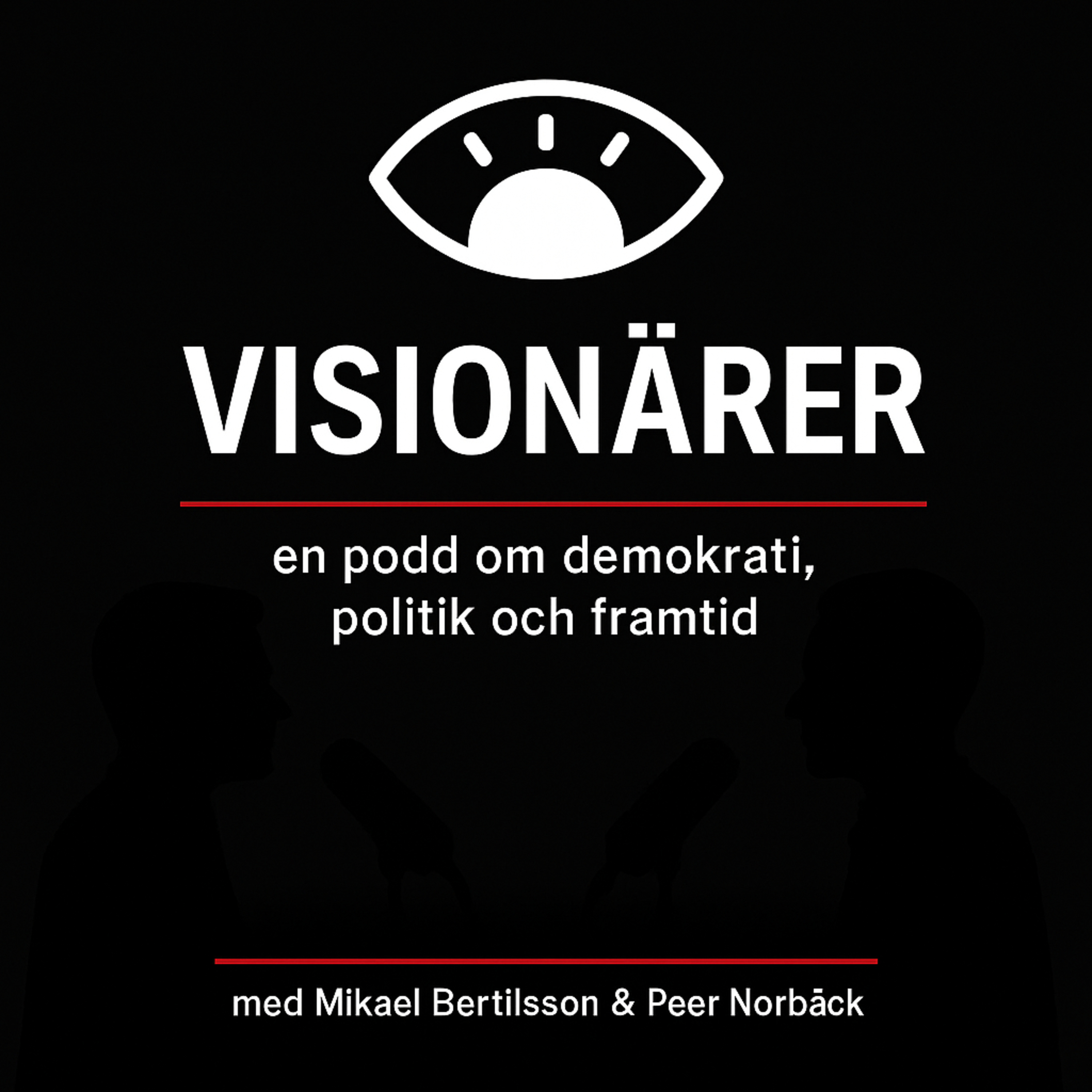 Visionärer