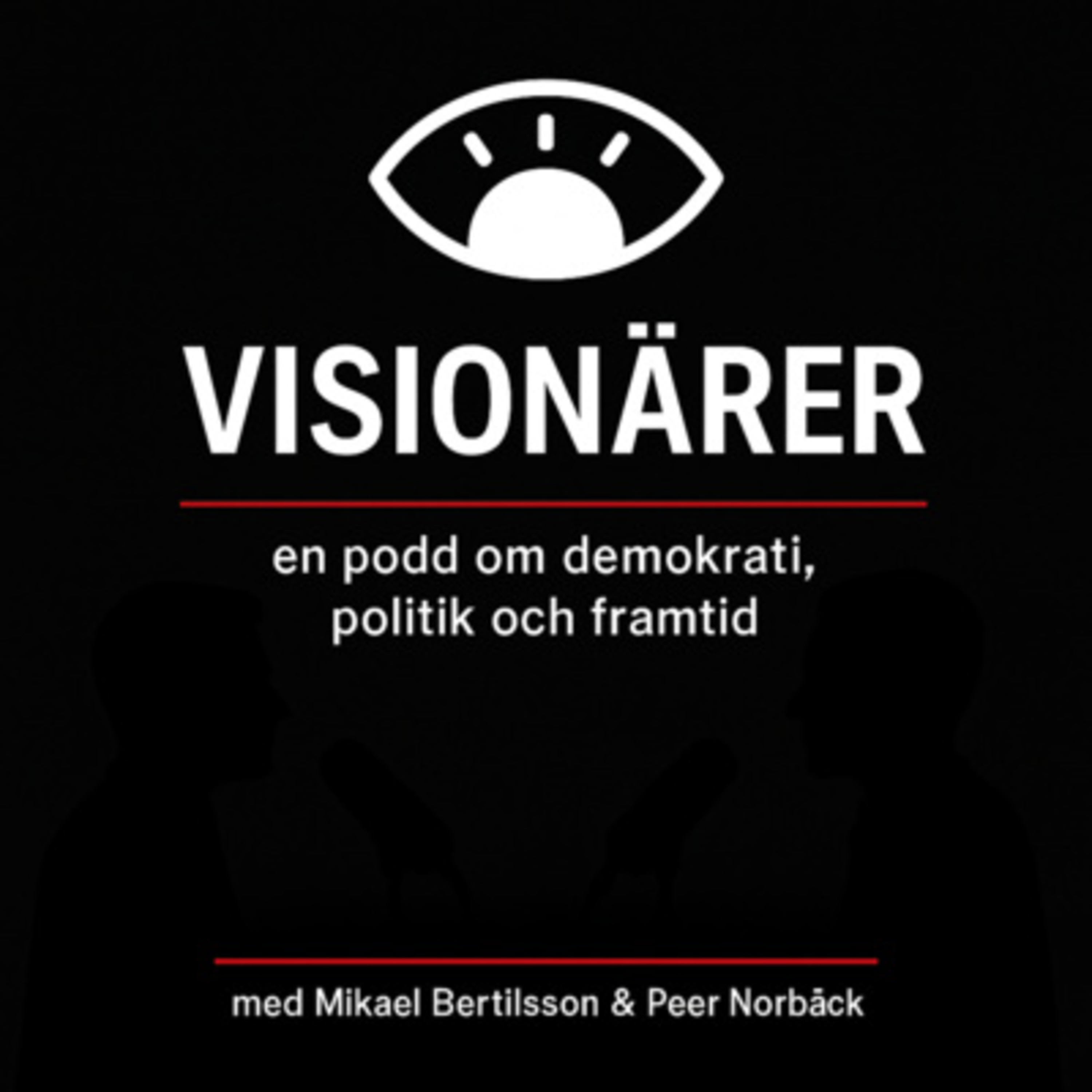 Visionärer