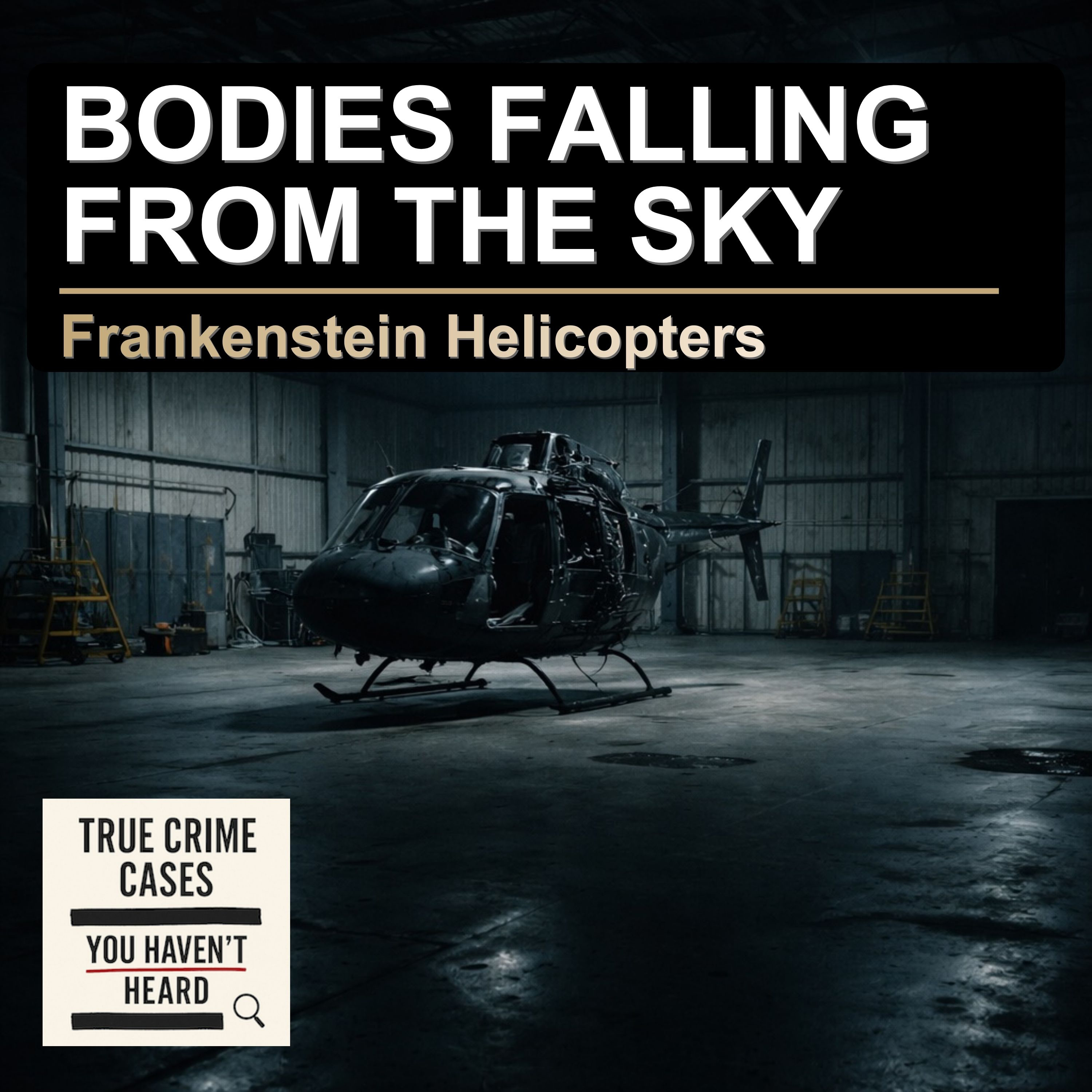 Bodies Falling from the Sky: John Walker's Deadly Aviation Fraud episode artwork