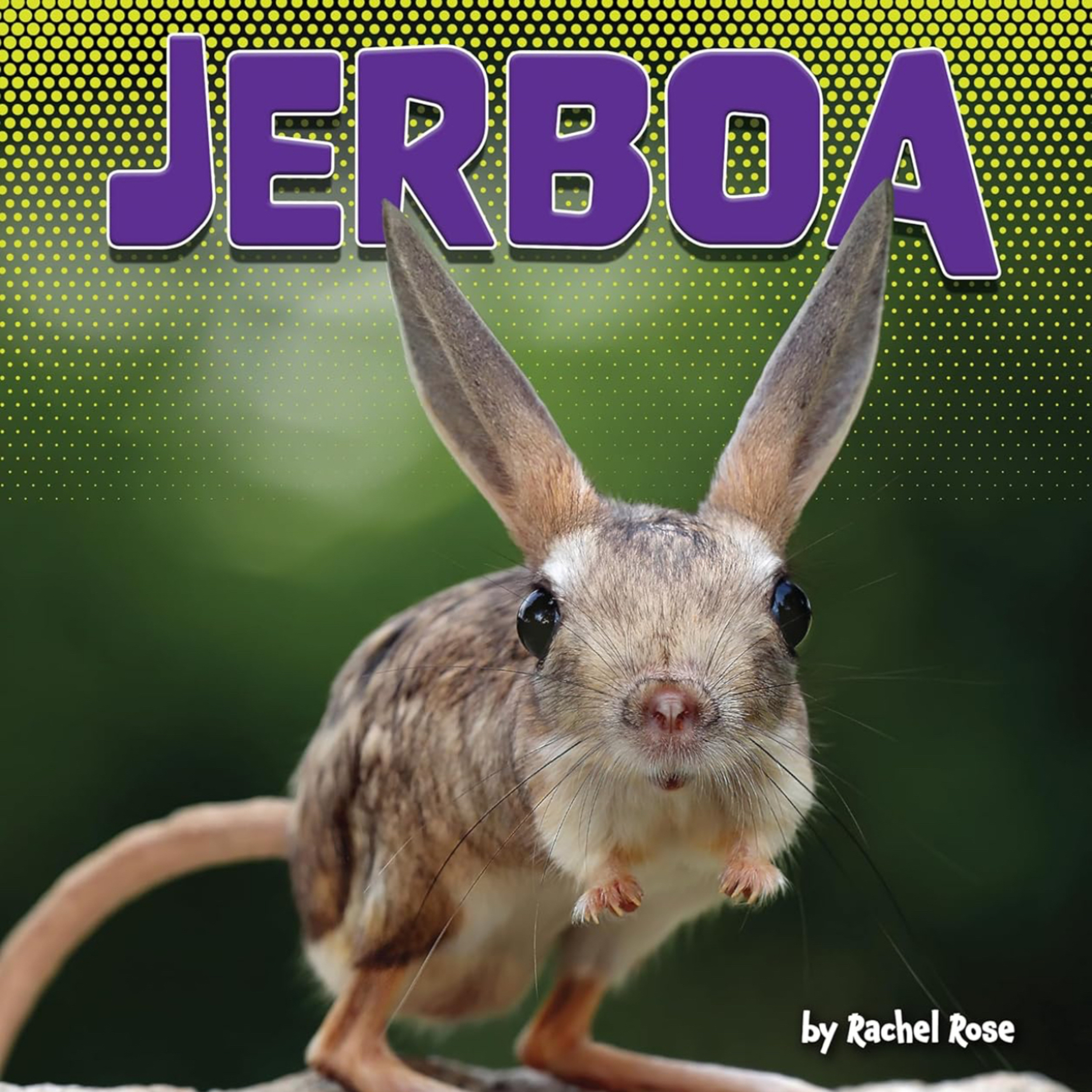 Jerboa