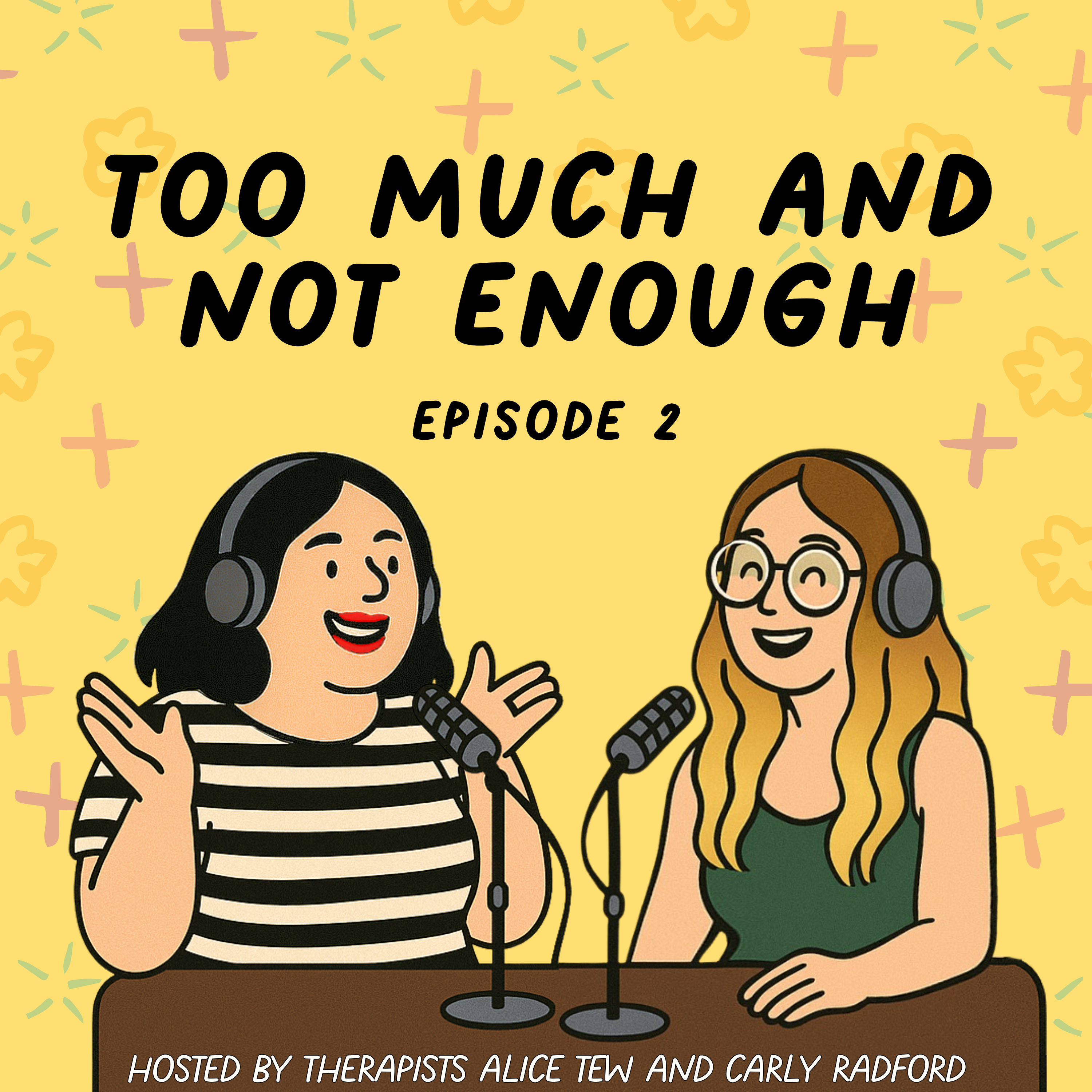 2. Too Much and Not Enough - Why You Always Feel Like the Problem episode artwork
